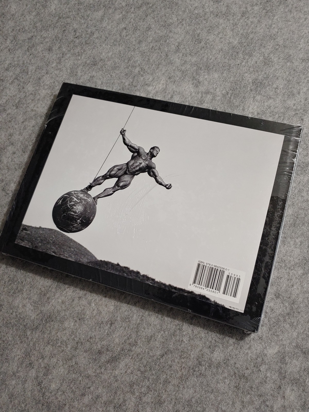 The Art of Bodybuilding Vol 1 David Paul Book New Sealed Rare Barbarian Brothers