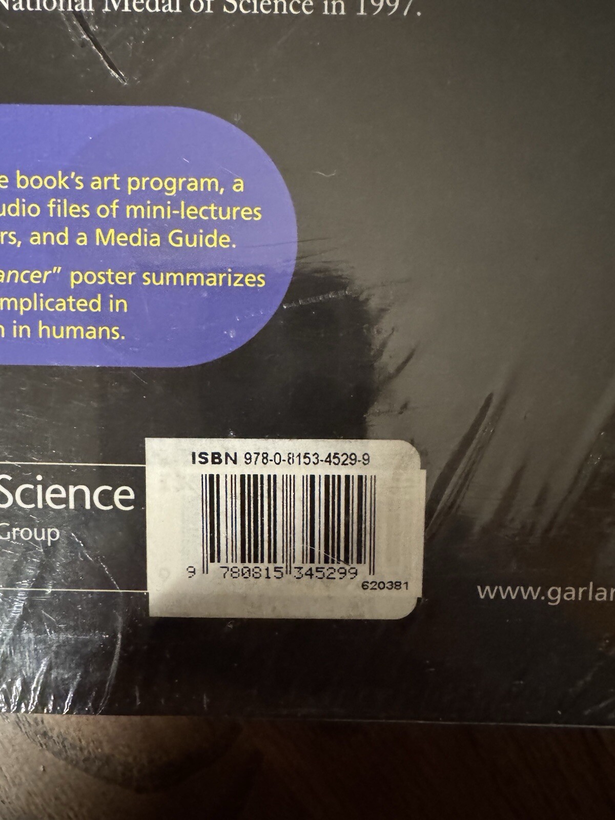 Biology of Cancer by Robert A. Weinberg (2013, Ringbound)