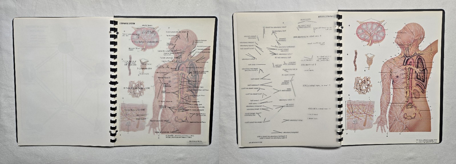 Schick Notebook Charts Human Anatomy Softcover Spiral Bound Book (1987)