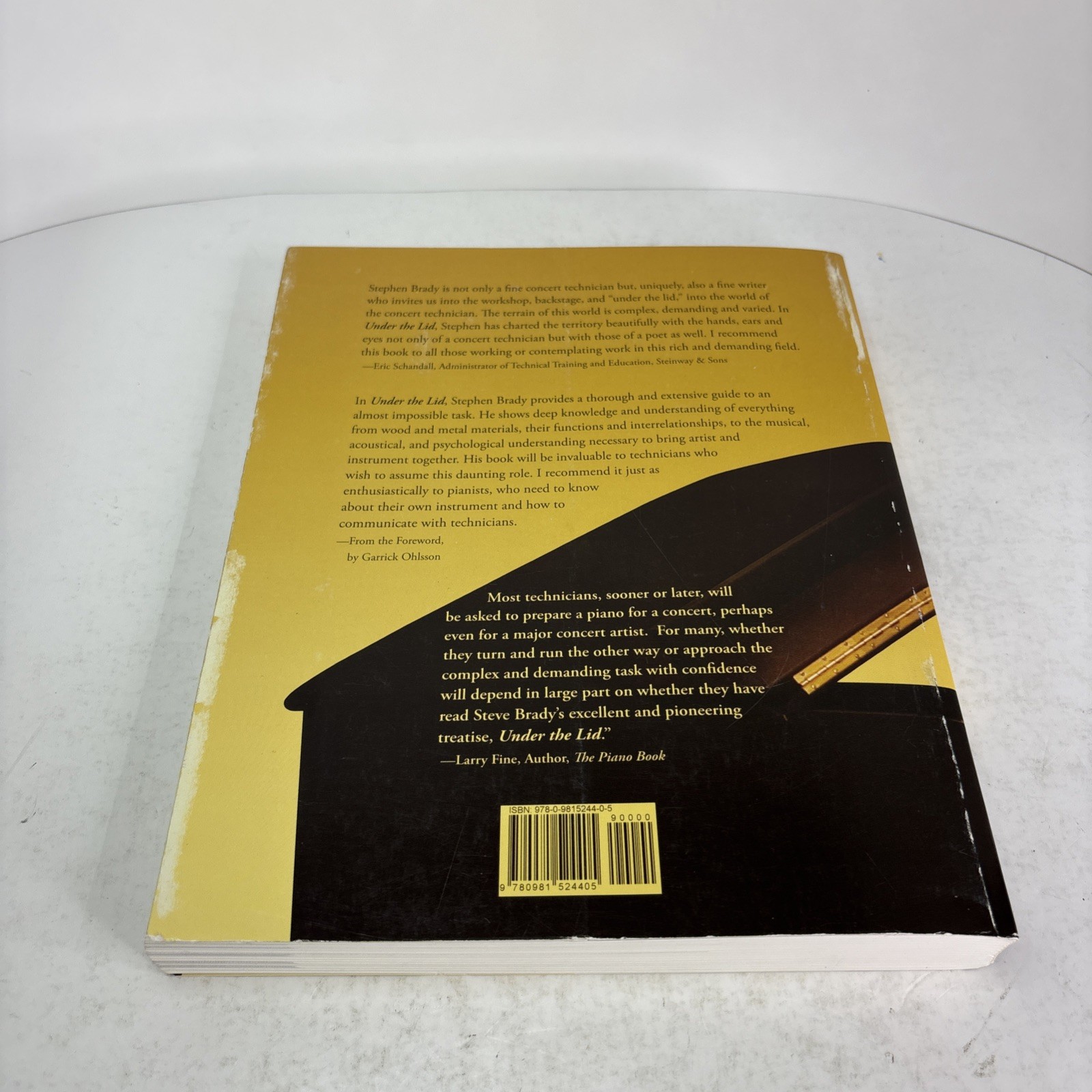 Under The Lid: The Art & Craft Of The Concert Piano Technician by Brady