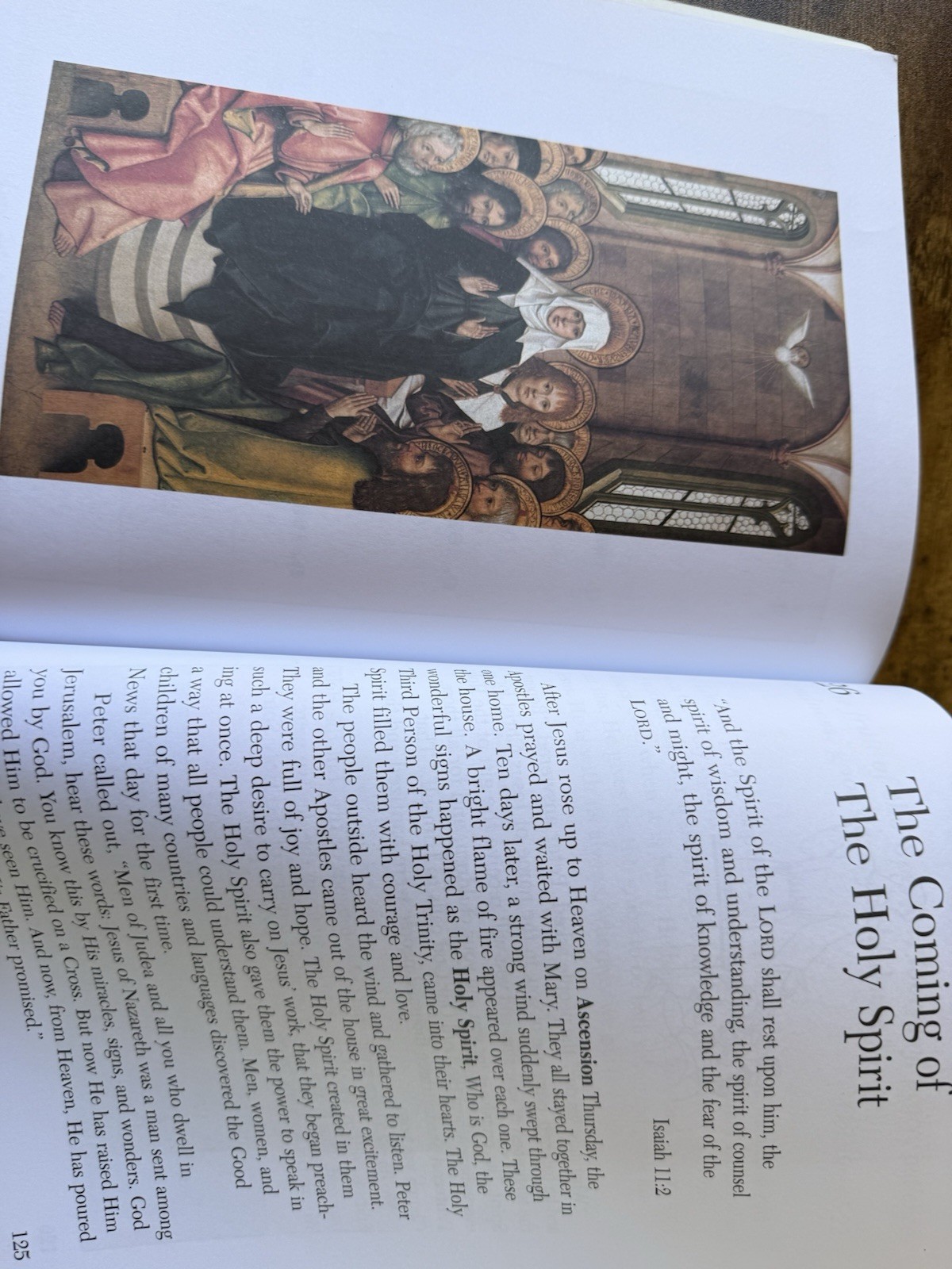 Ignatius Press Our Life With Jesus Faith and Life Series Third Edition Book