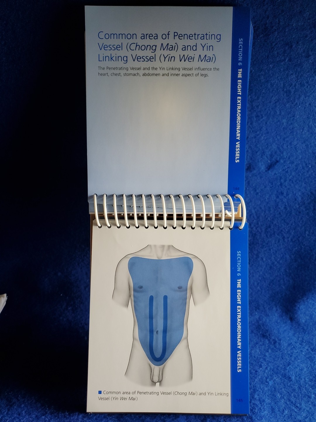 The Channels of Acupuncture Cards Giovanni Maciocia 2006 Elsevier Set