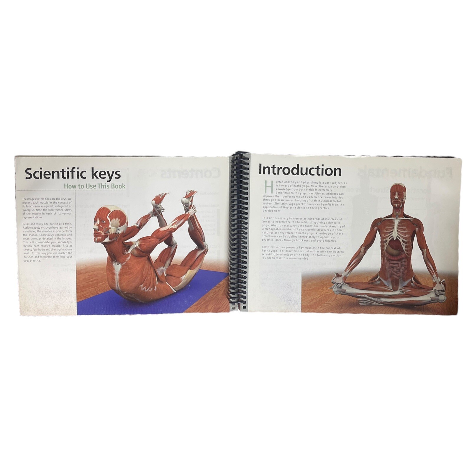 Scientific Keys Vol. 1 : The Key Muscles of Hatha Yoga by Raymond A. Long…