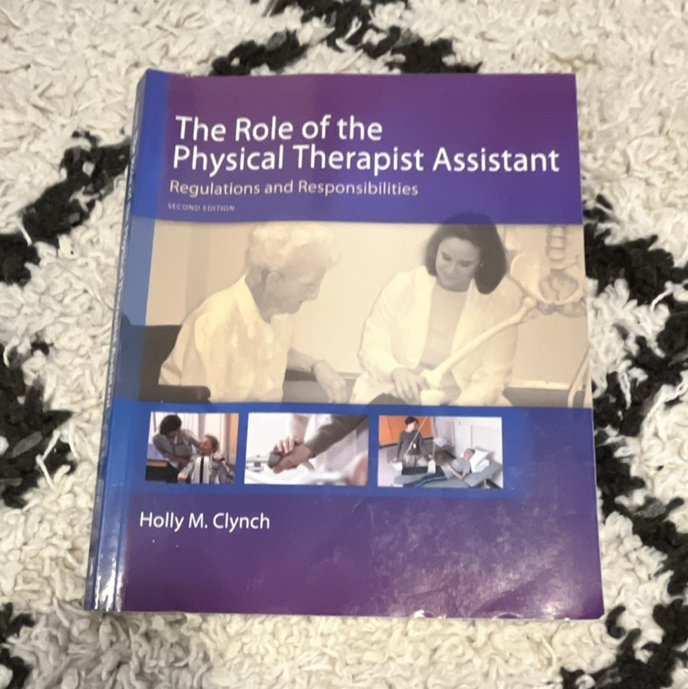 F.A. Davis Physical Therapist Assistant 2nd Ed Holly M. Clynch Paperback