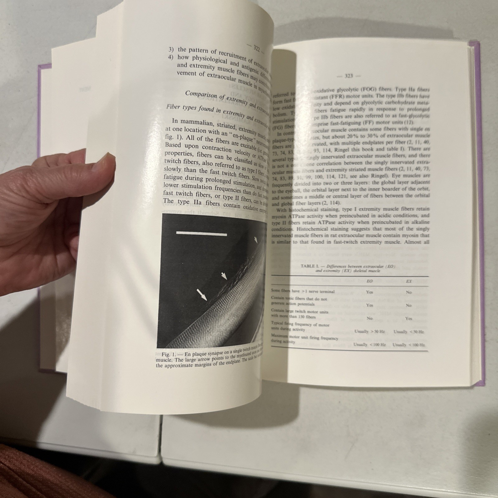 Neurological Organization of Ocular Movement. Ed. Daroff Neetens.Ophthalmology