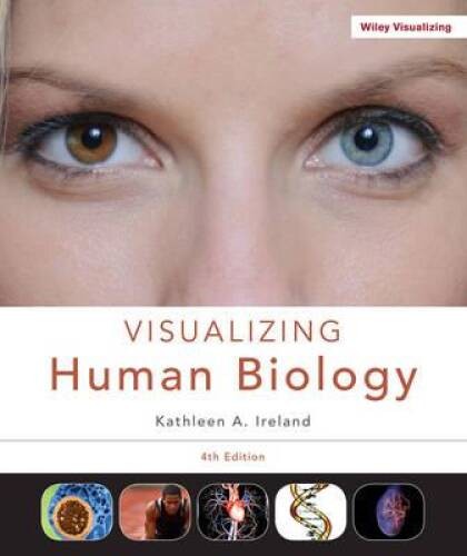 Visualizing Human Biology, 4th Edition – Paperback By Kathleen A. Ireland – GOOD