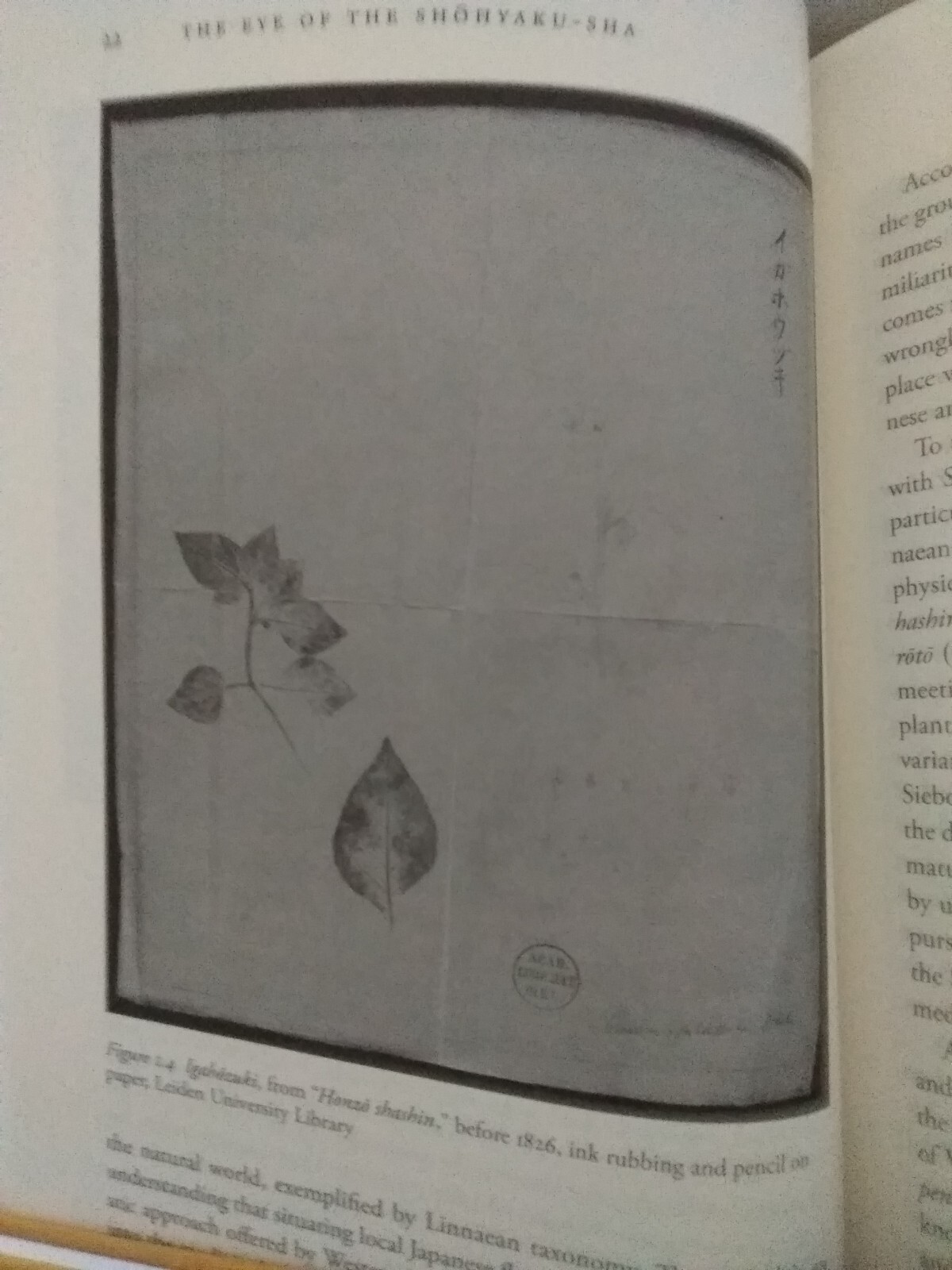 The Premise of Fidelity: Science, Visuality, Representing Real 19th C. Japan