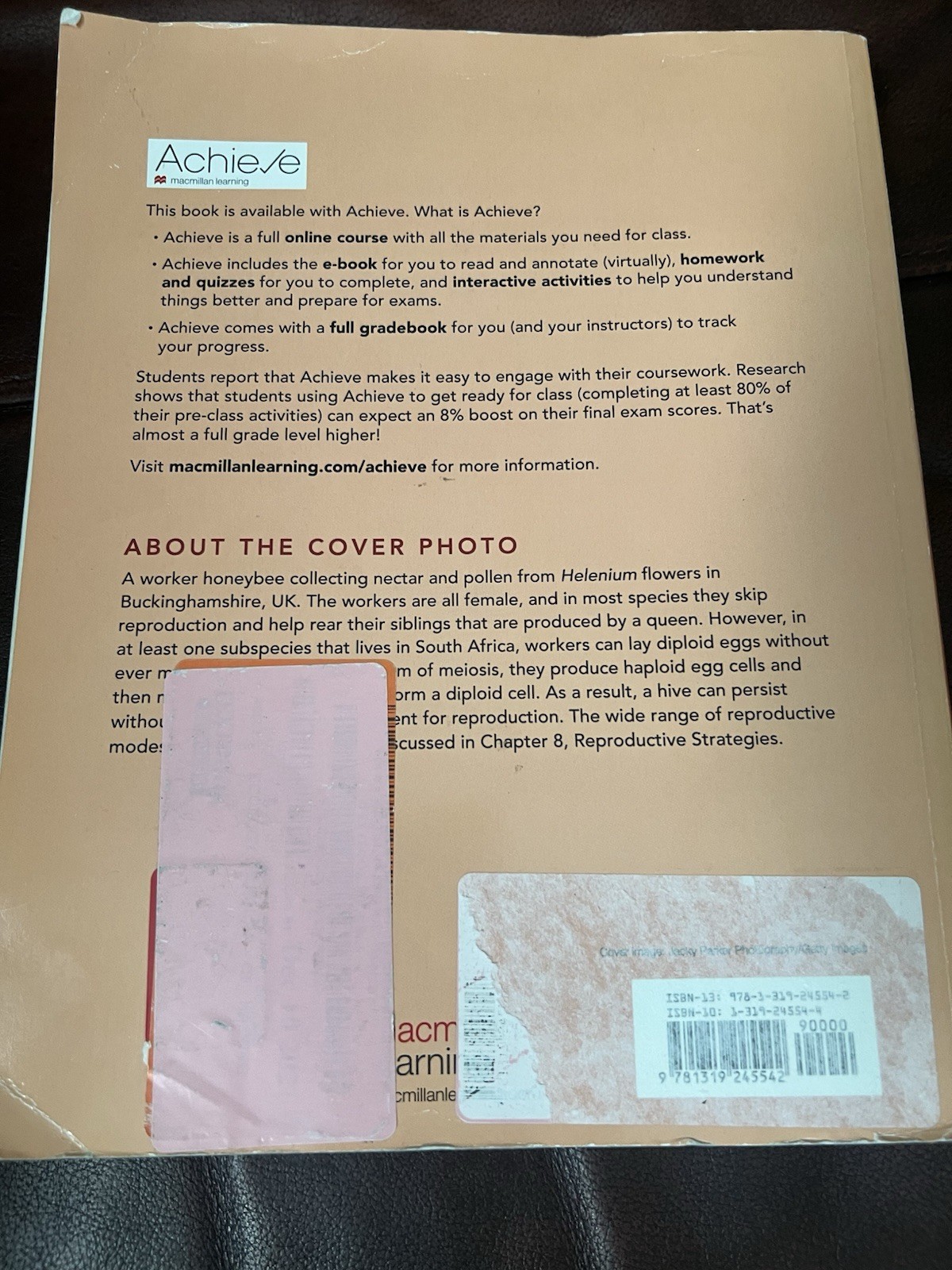 Ecology : The Economy of Nature, Paperback by Relyea, Rick