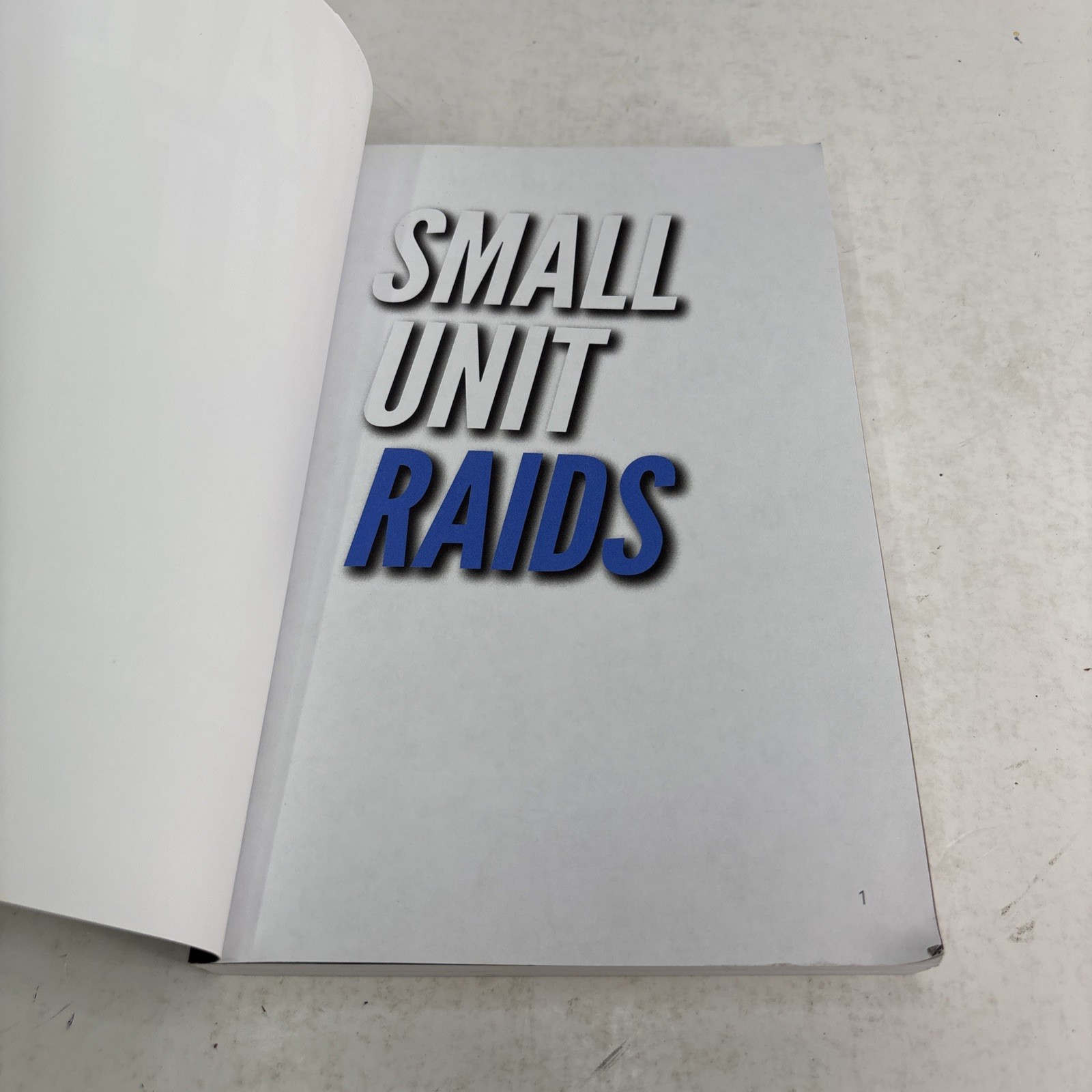 Small Unit Raids : An Illustrated Manual Paperback Matthew Luke