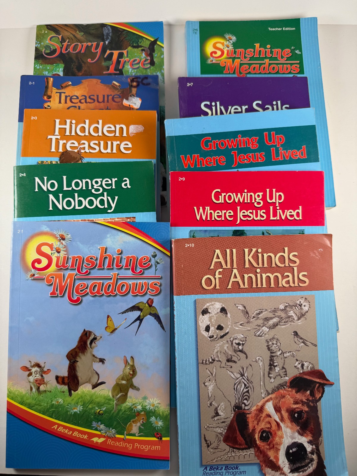 Lot of 33 A Beka Book 1st-5th grade Reading Program Homeschool readers Pensacola