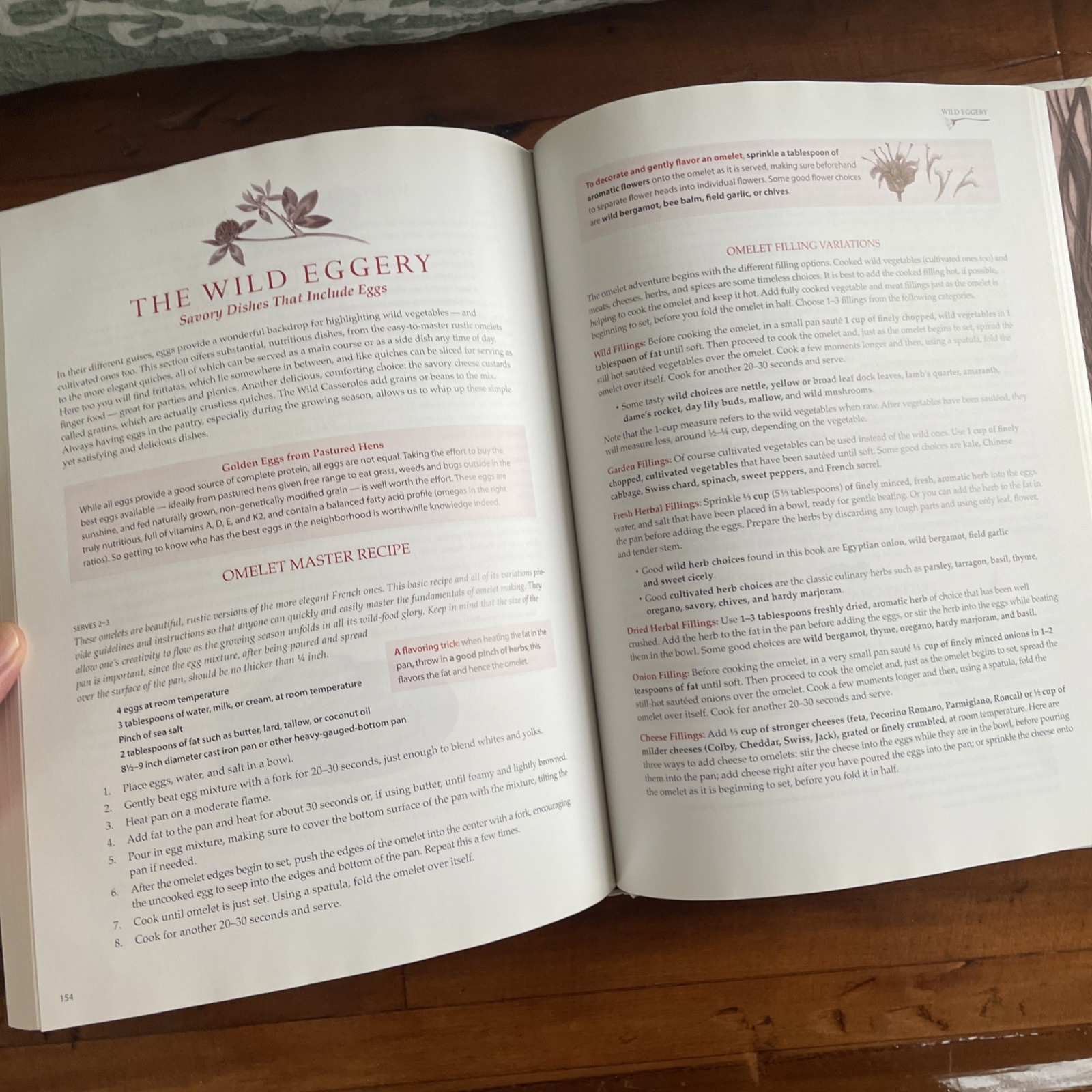 Foraging & Feasting: A Field Guide and Wild Food Cookbook Dina Falconi