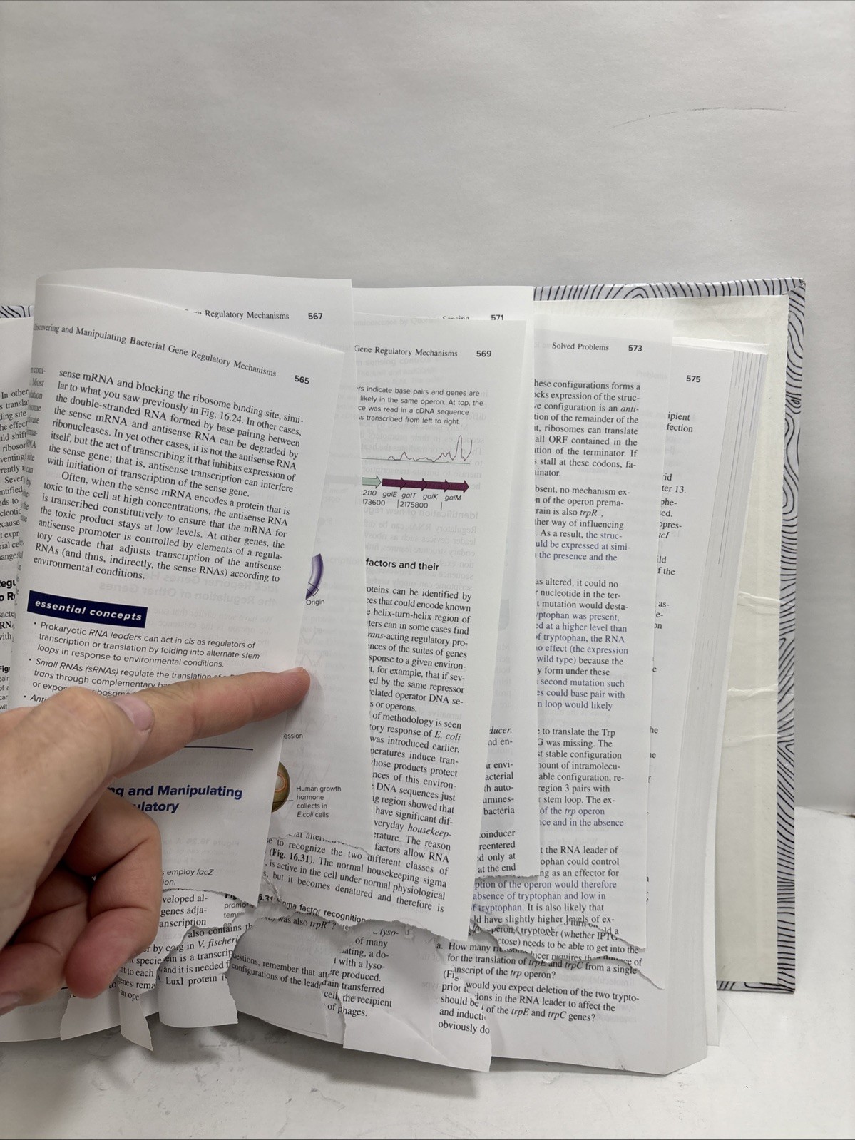Genetics: From Genes to Genomes 6th Edition.. Pieces Of Pages Torn Out..565-575
