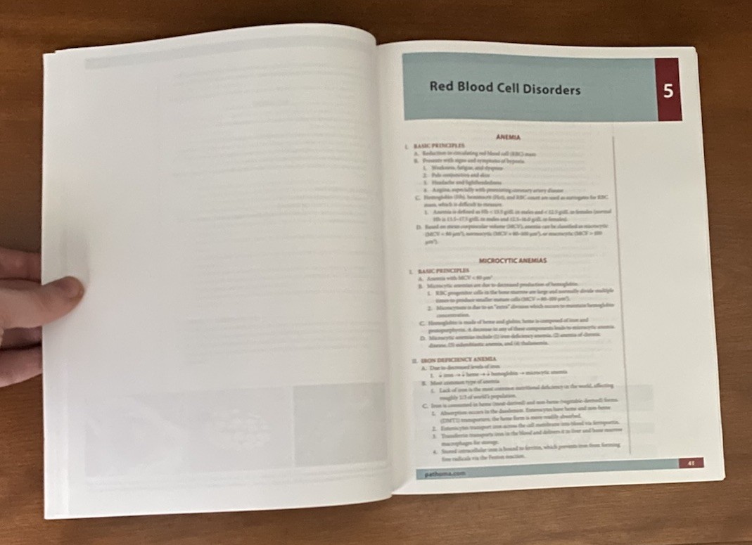 Pathoma Fundamentals of Pathology 2019 Husain A Sattar
