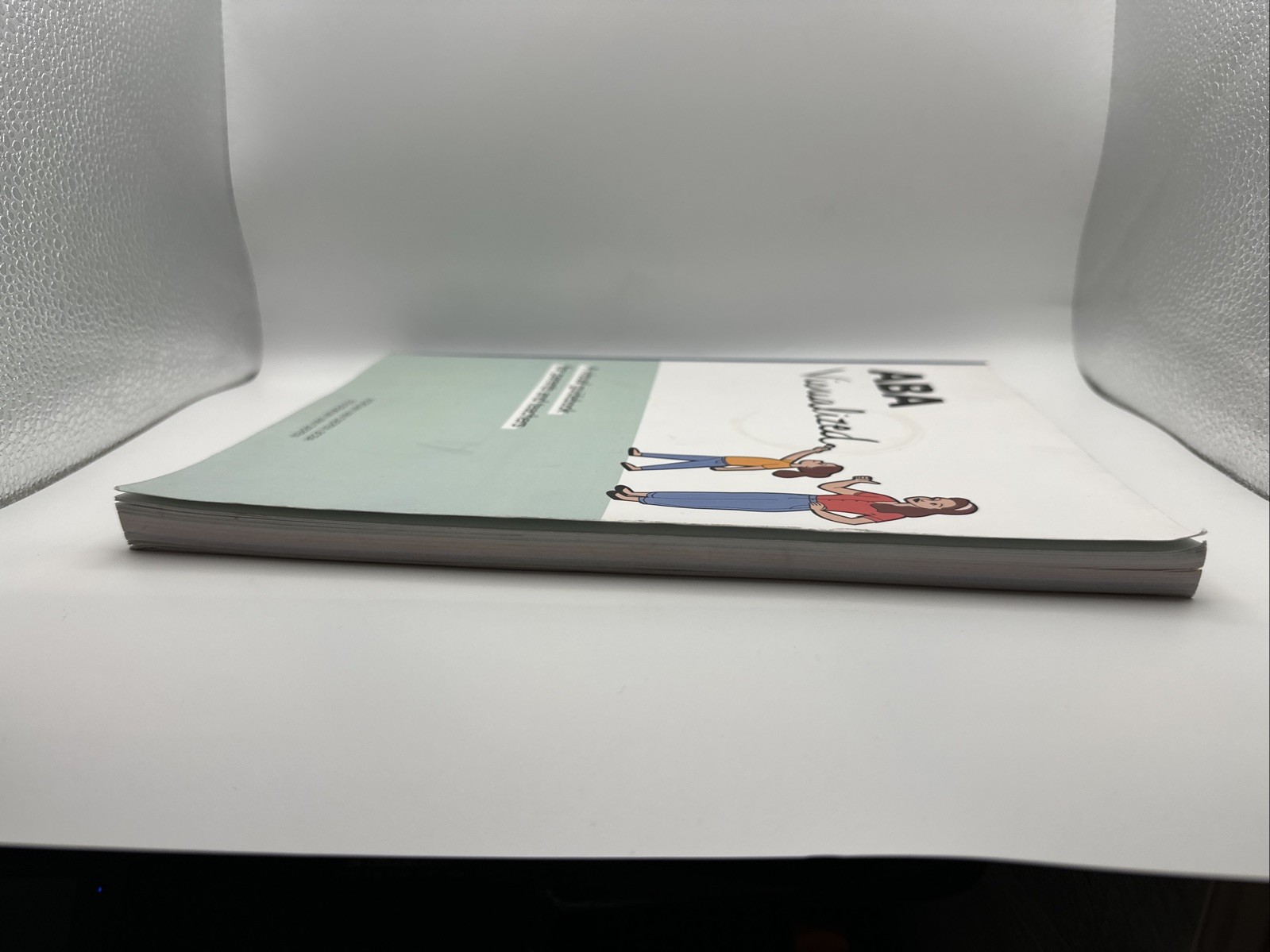 ABA Visualized : A Visual Guidebook for Parents and Teachers (Paperback, 2019)