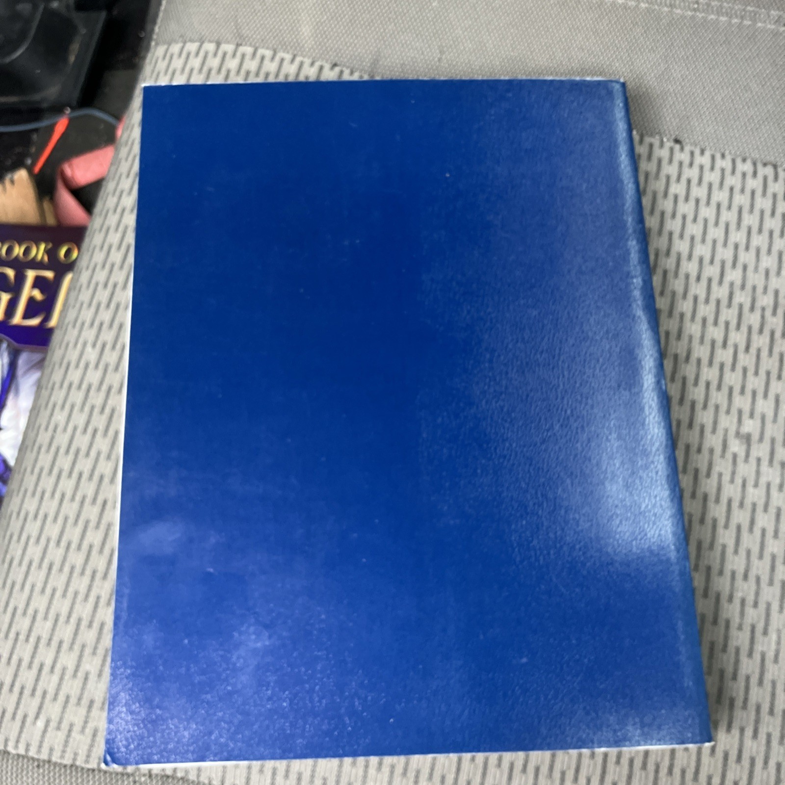 Drug Identification Bible 2004-2005 Textbook Identification