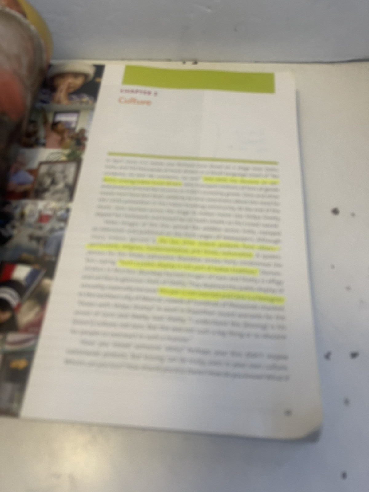 Cultural Anthropology : A Toolkit for a Global Age by Kenneth J. Guest (2013,…