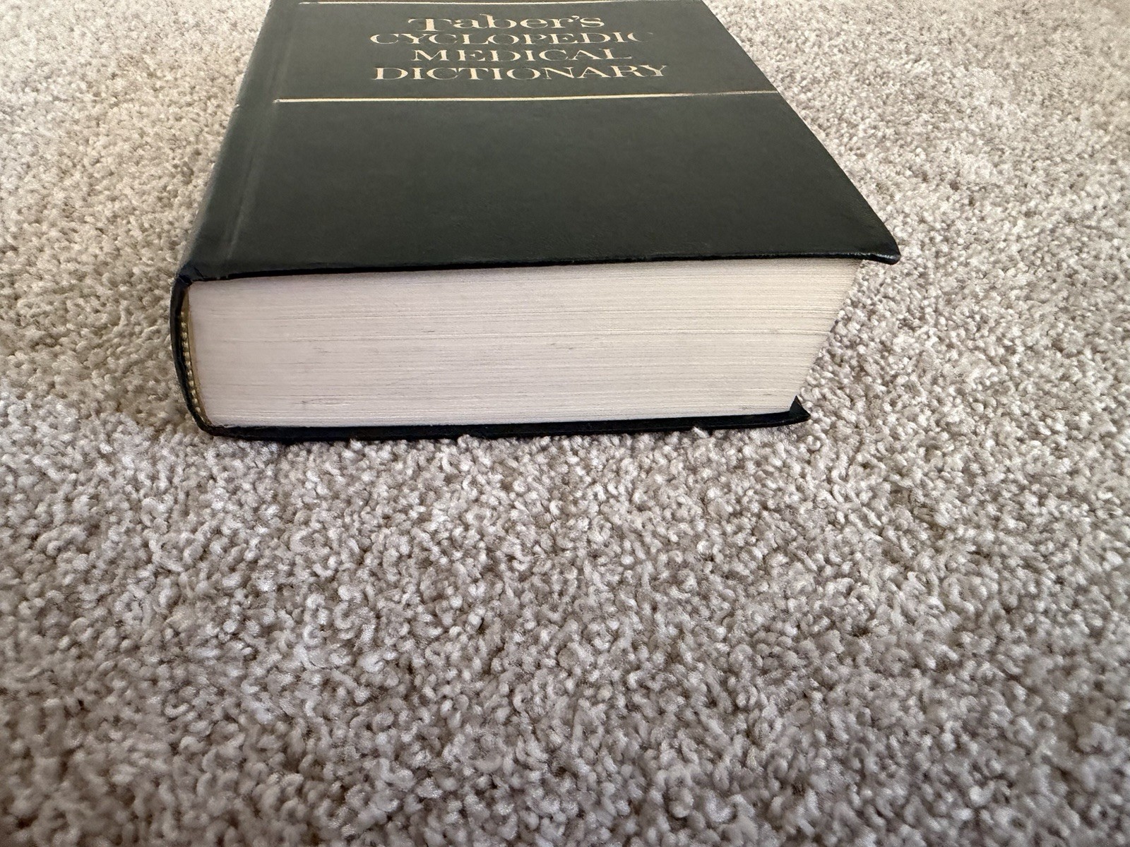 Taber’s Cyclopedic Medical Dictionary – Edition 14 (1981, Hardcover) – Good