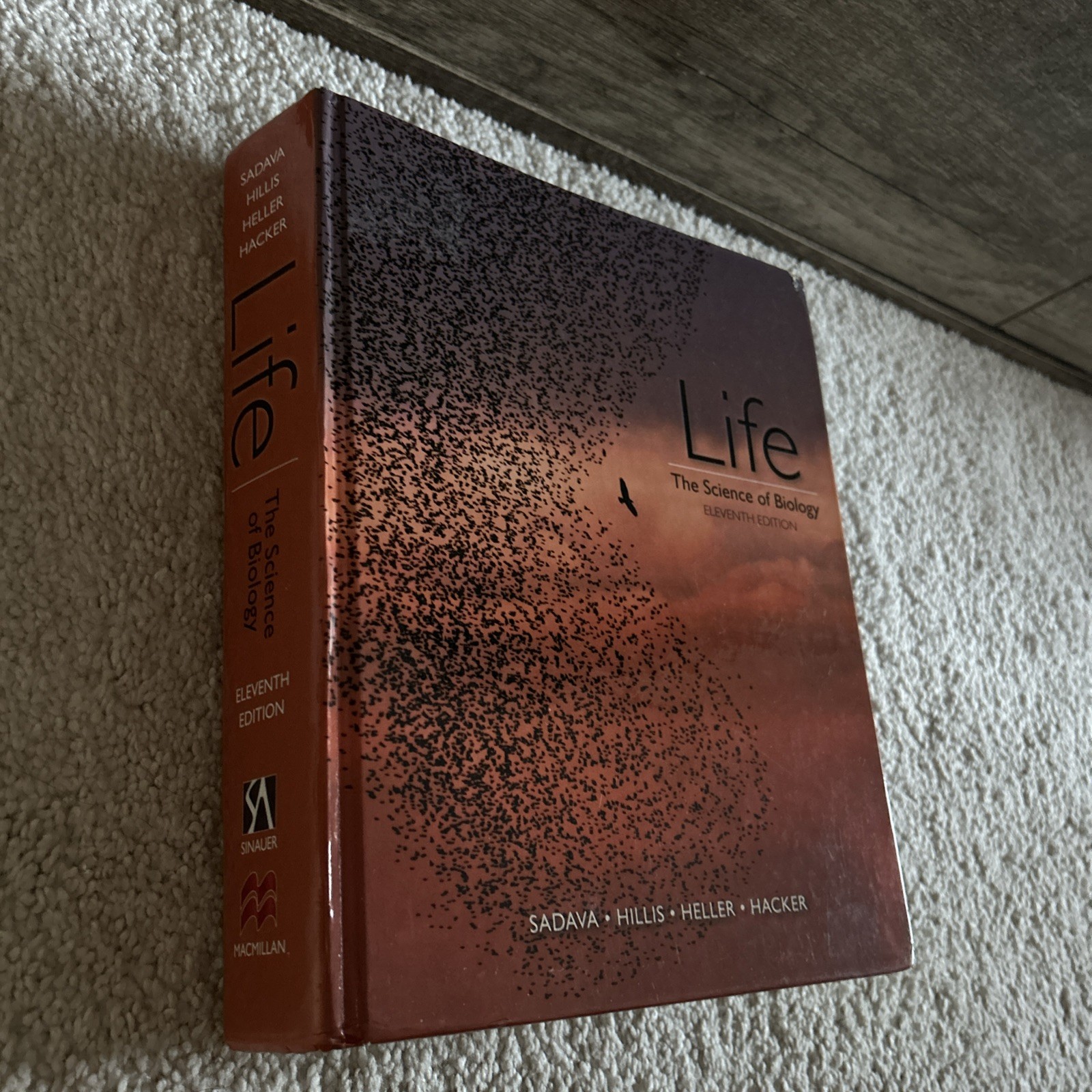 Life: The Science of Biology – Hardcover By Sadava, David E. – GOOD