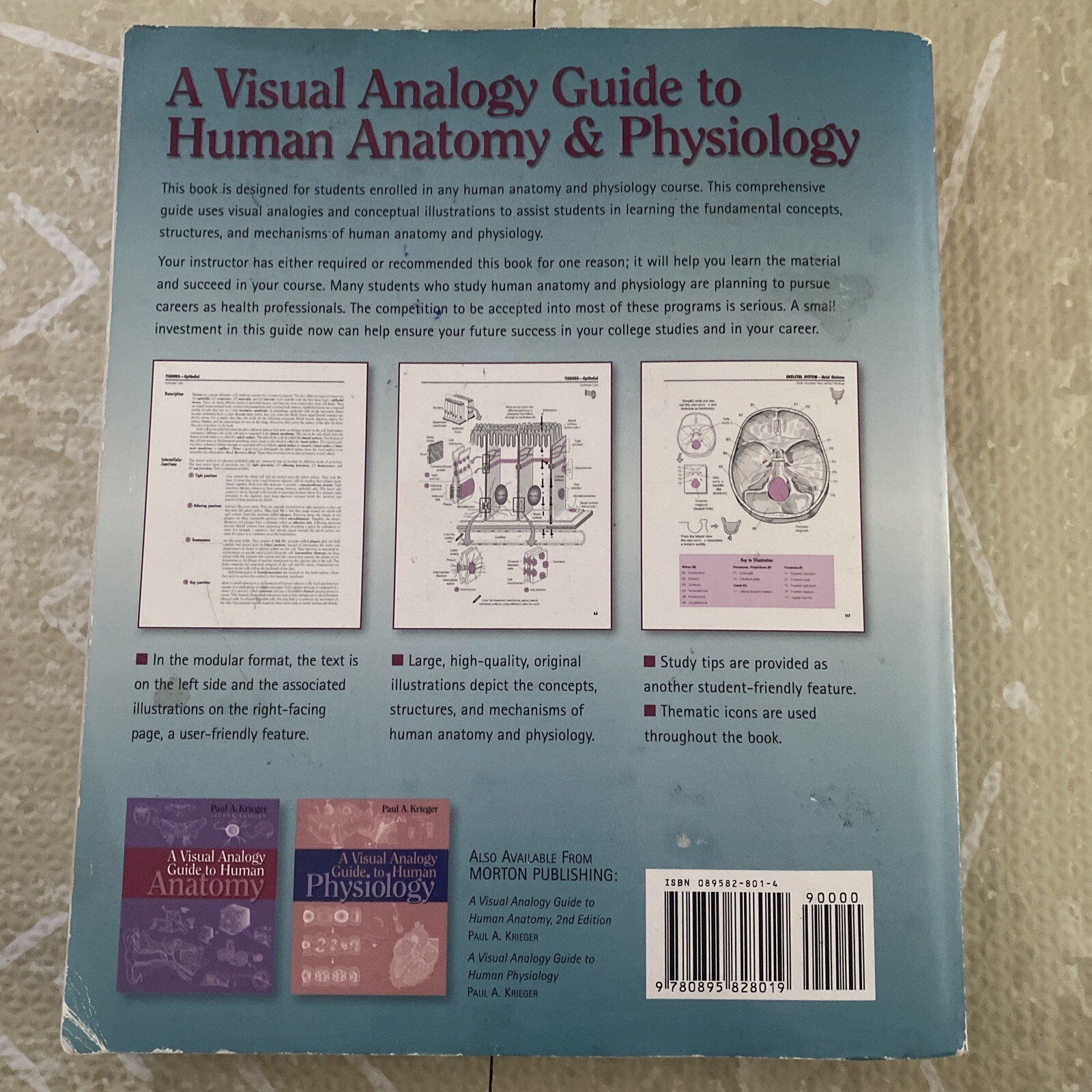 A Visual Analogy Guide to Human Anatomy 2nd edition Krieger, Paul A