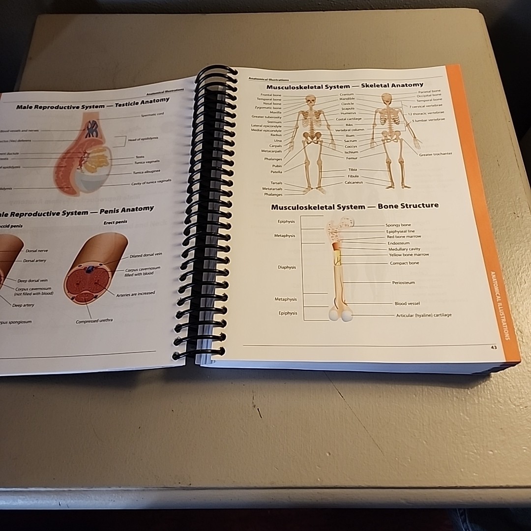 AAPC HCPCS Level 2 Expert 2024 Service & Supply Codes