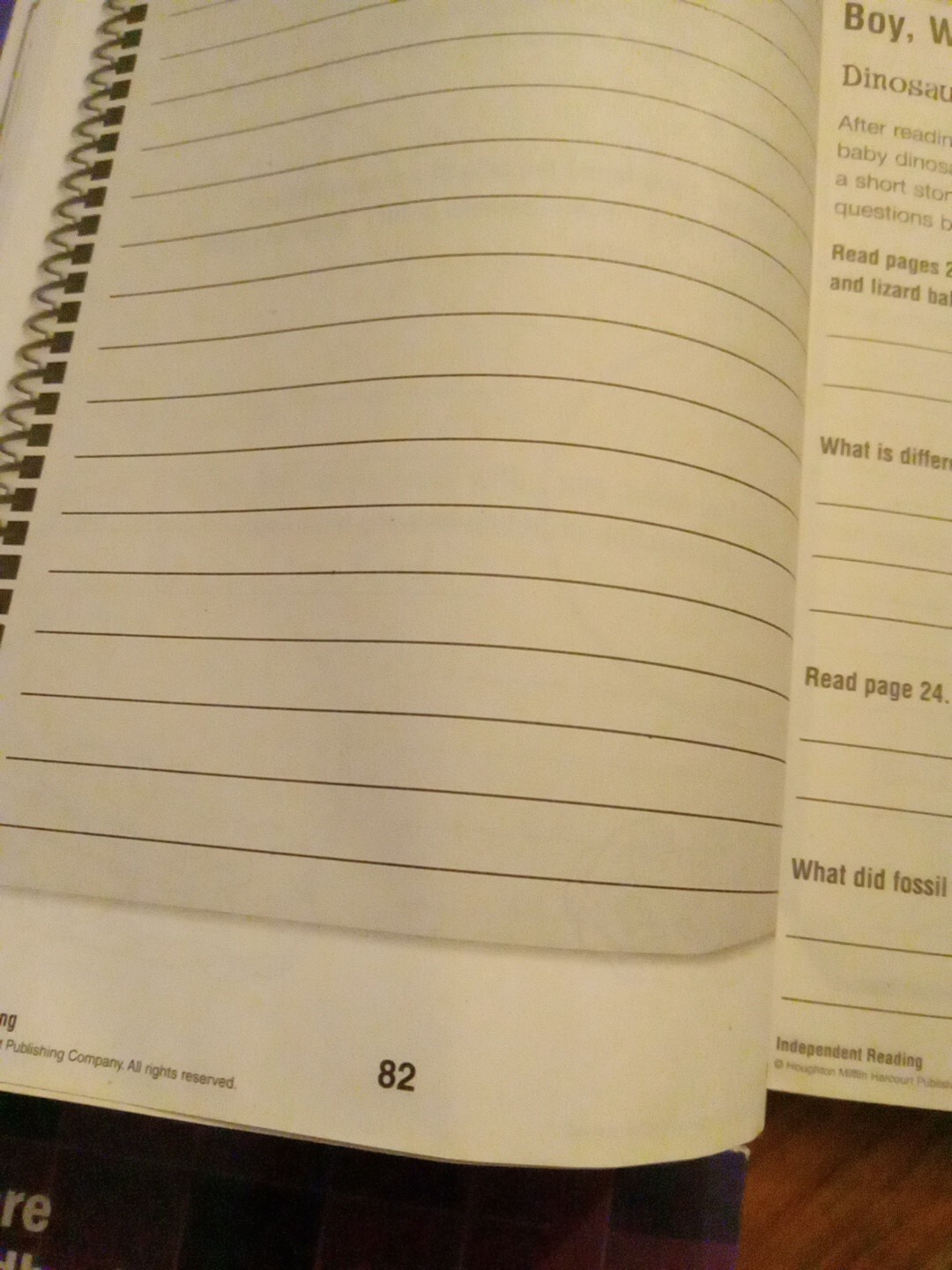 Common Core Reader’s Notebook Grade 3 Vol 1 &2, Common Core Writing Check Photos