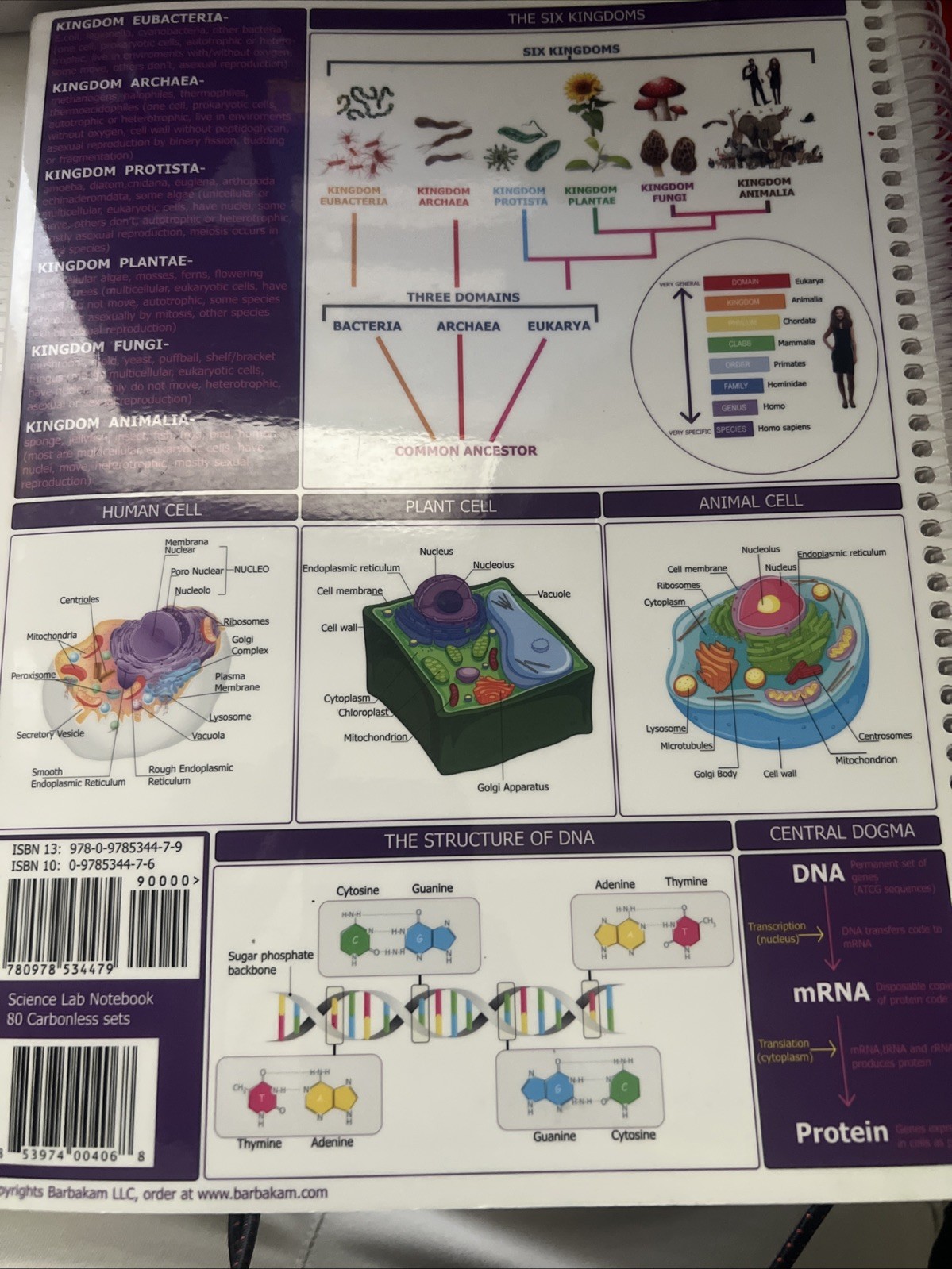 SCIENCE LAB NOTEBOOK 80 Carbonless Self-copying Pages Copy Page Perforated