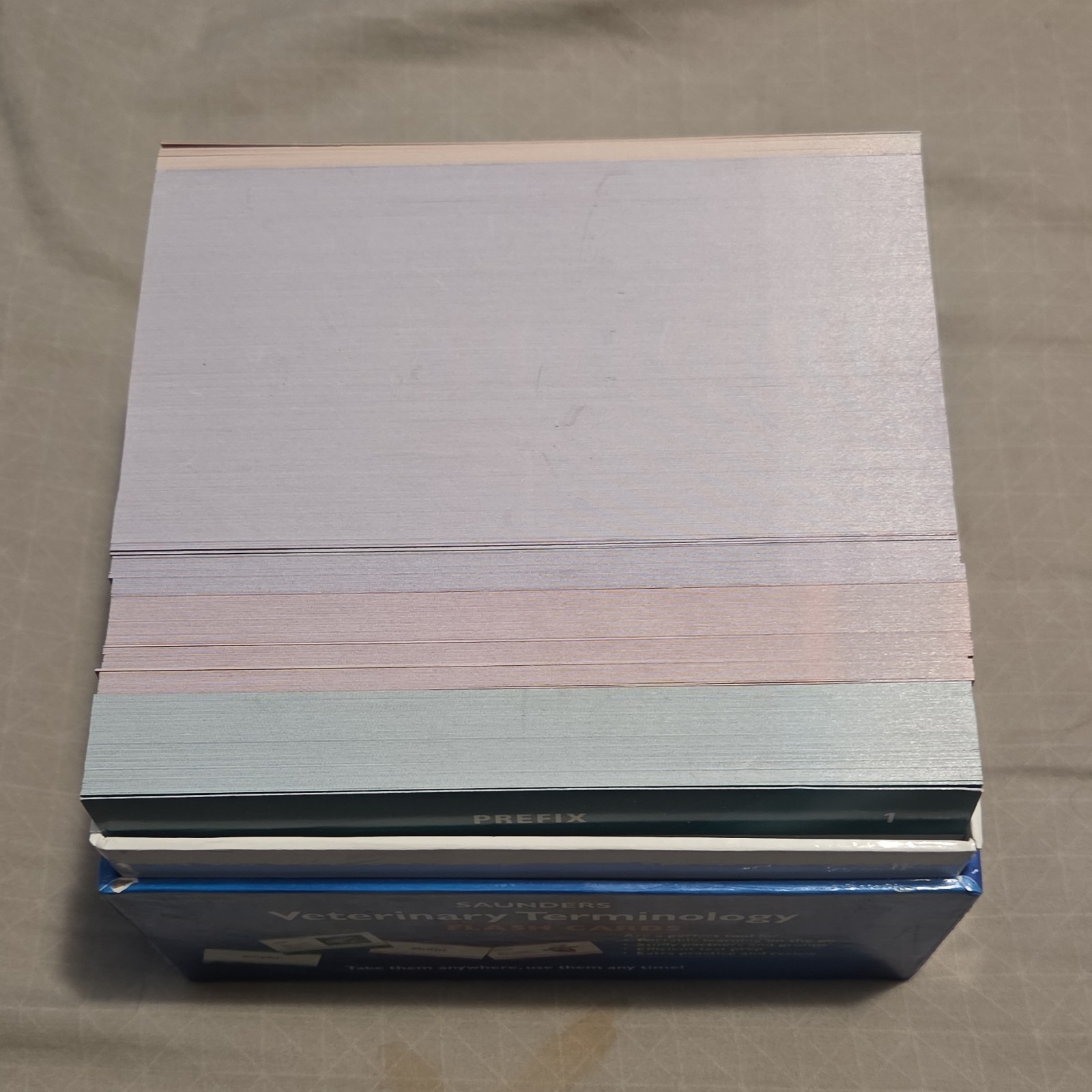 Saunders Veterinary Terminology Flash Cards 530 Full Color Cards Complete