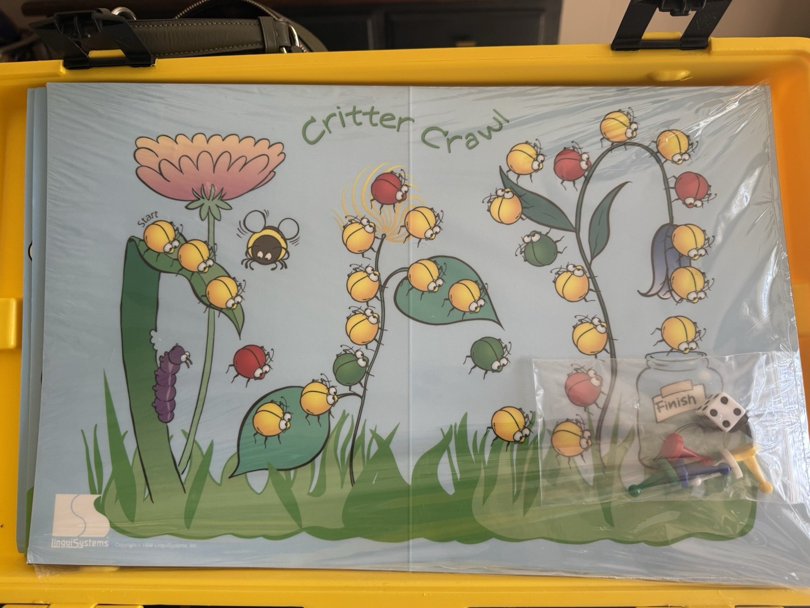 The Expressive language Kit by LinguiSystems Rhyming Books Flash Photo Cards