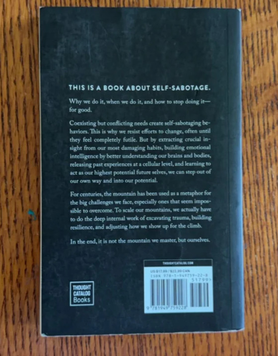 The Mountain Is You Brianna Wiest Transforming Self-Sabotage Paperback Book