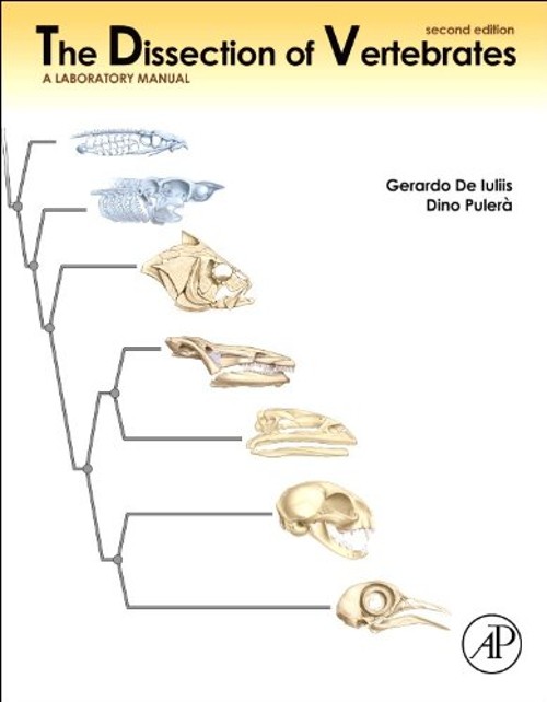 The Dissection of Vertebrates Paperback Dino, De Iuliis, Gerardo