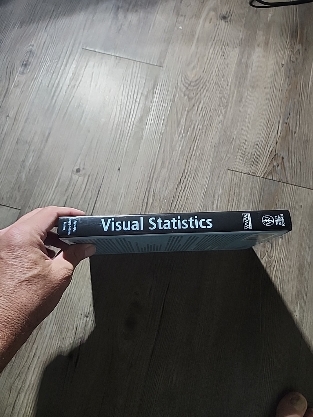 Wiley Series in Probability and Statistics Ser.: Visual Statistics : Seeing Data
