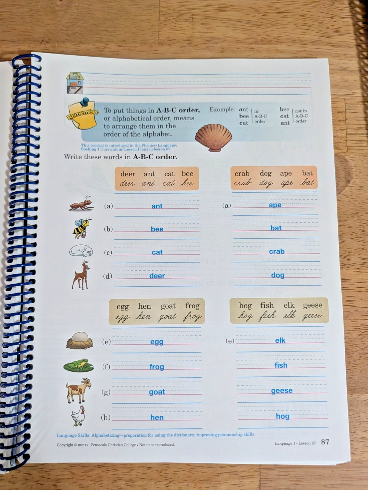 Abeka Language 1, Letters and Sounds 1 Teacher Key Books A Beka