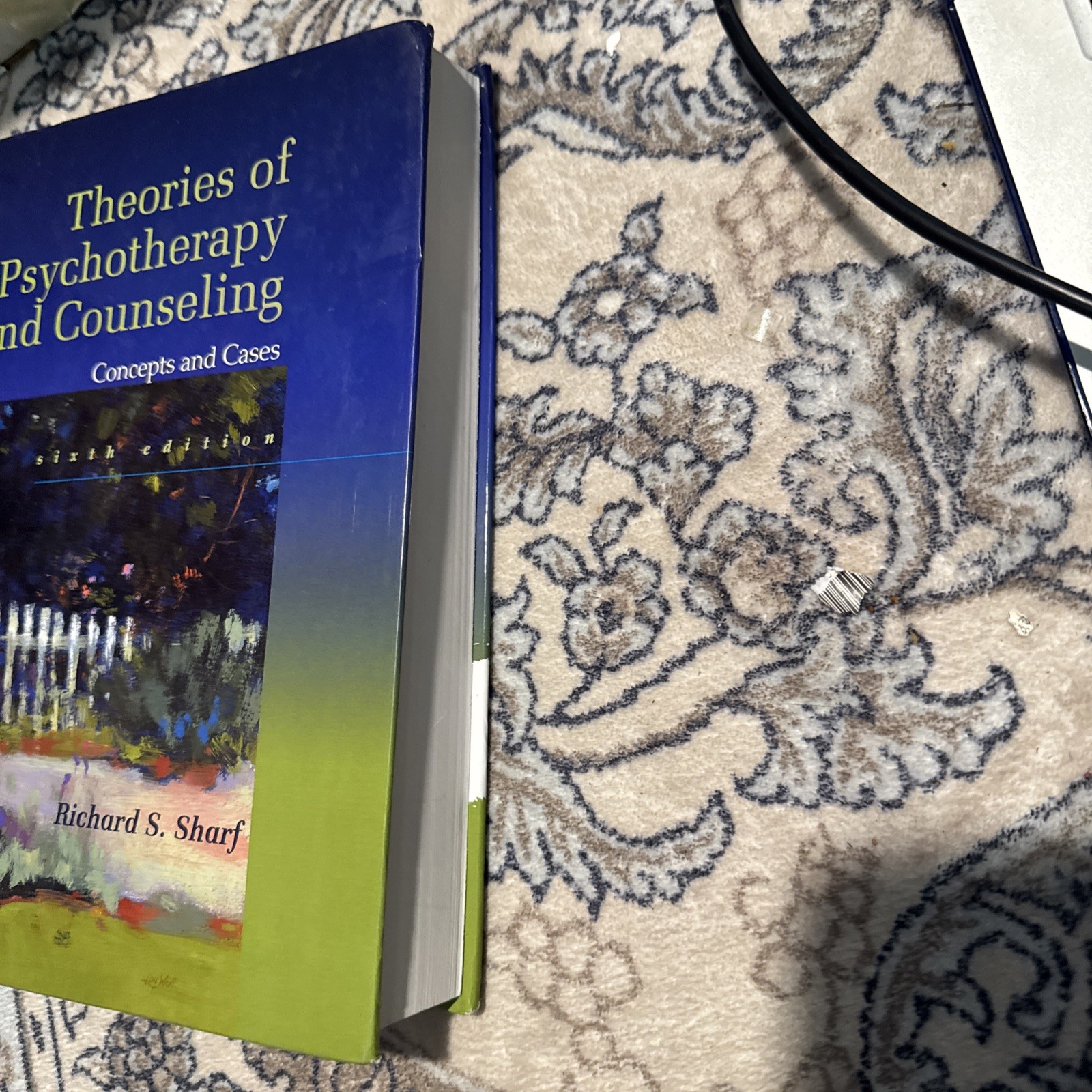 Theories of Psychotherapy & Counseling: Concepts and Cases 6th Edition *GOOD*
