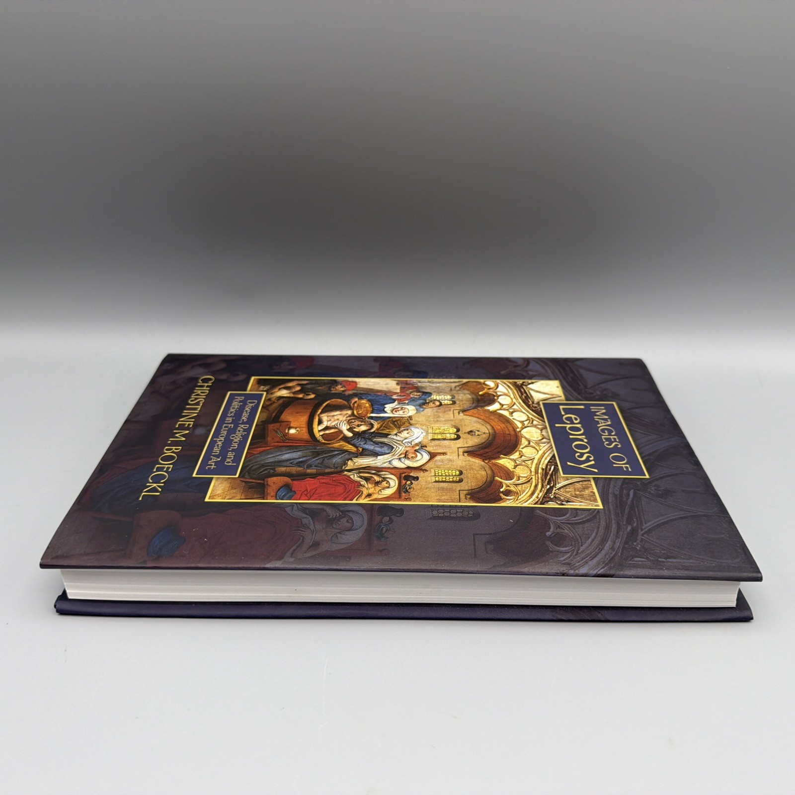 NEW! Images of Leprosy Disease Religion and Politics in European Art • Boeckl