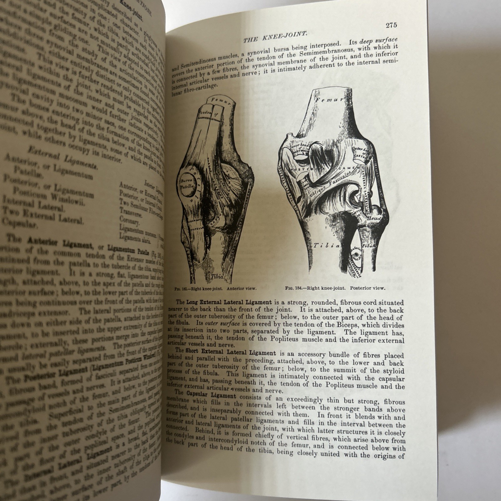 Gray’s Anatomy : The Unabridged Running Press Edition of the American Classic by