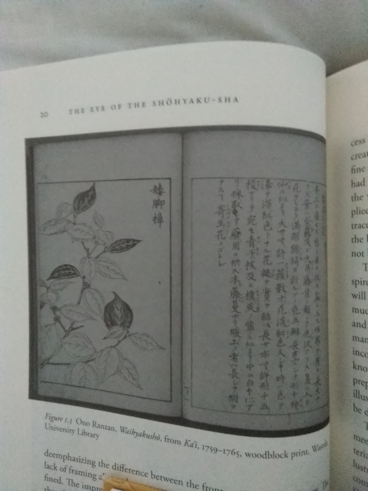 The Premise of Fidelity: Science, Visuality, Representing Real 19th C. Japan