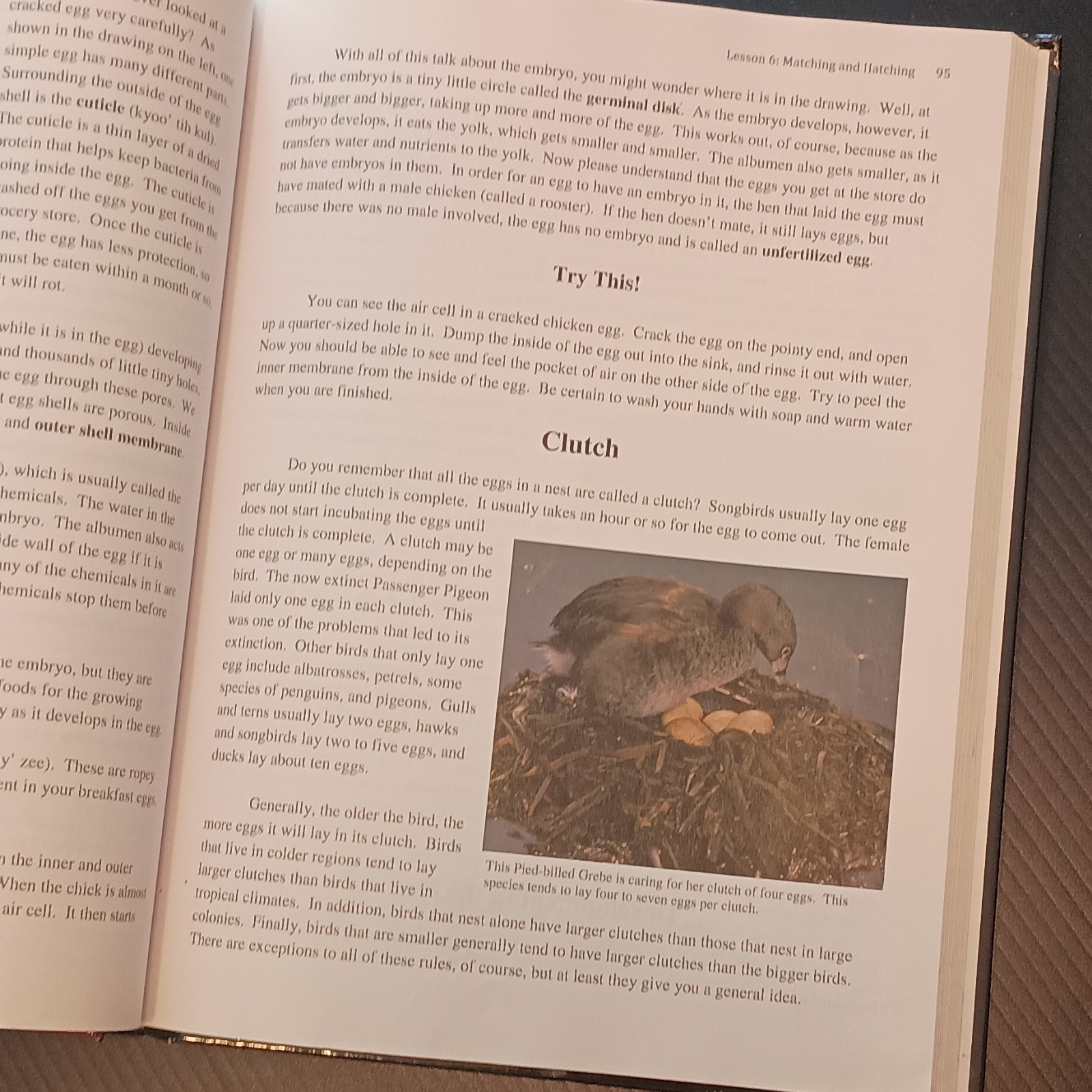 Young Explorer Exploring Creation with Zoology 1 HC Jeannie K. Fulbright