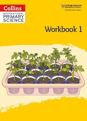 International Primary Science Workbook: Stage 1 (Paperback)