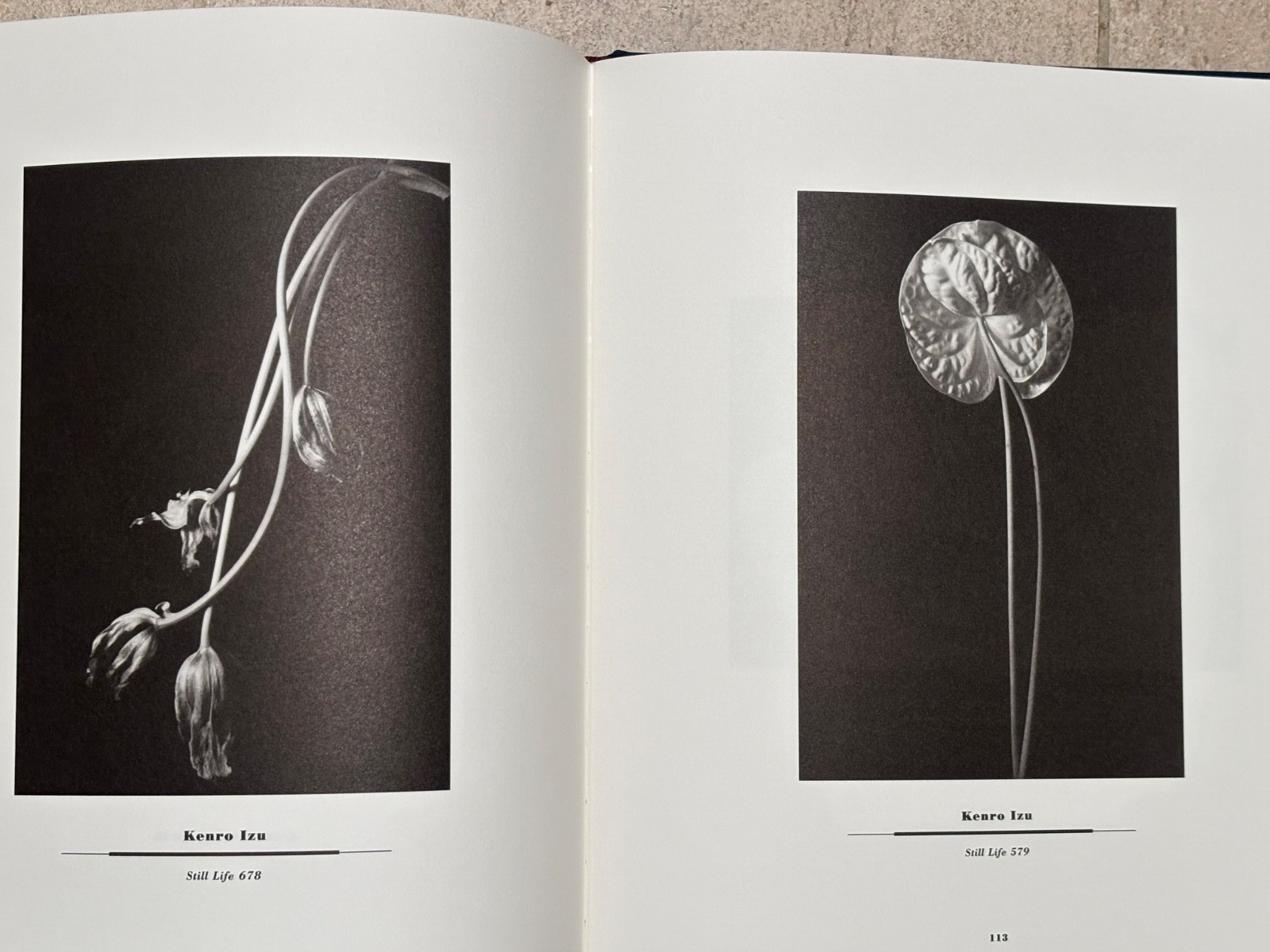 BRAND NEW Journal of Contemporary Photography VOLUME TWO #258/2000 1ST EDITION**