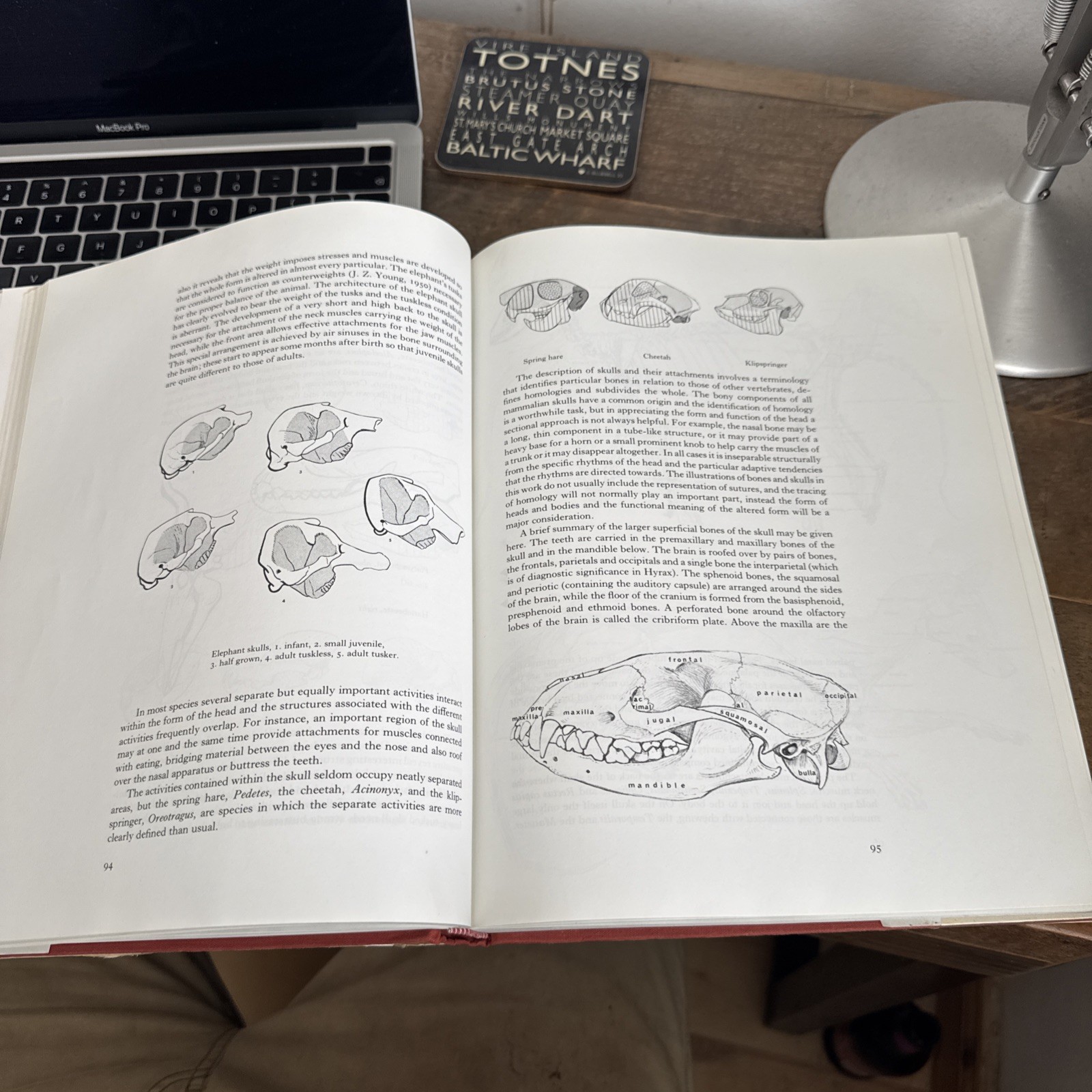 East African Mammals: An Atlas of Evolution in Africa: v. 1, By Jonathan Kingdon