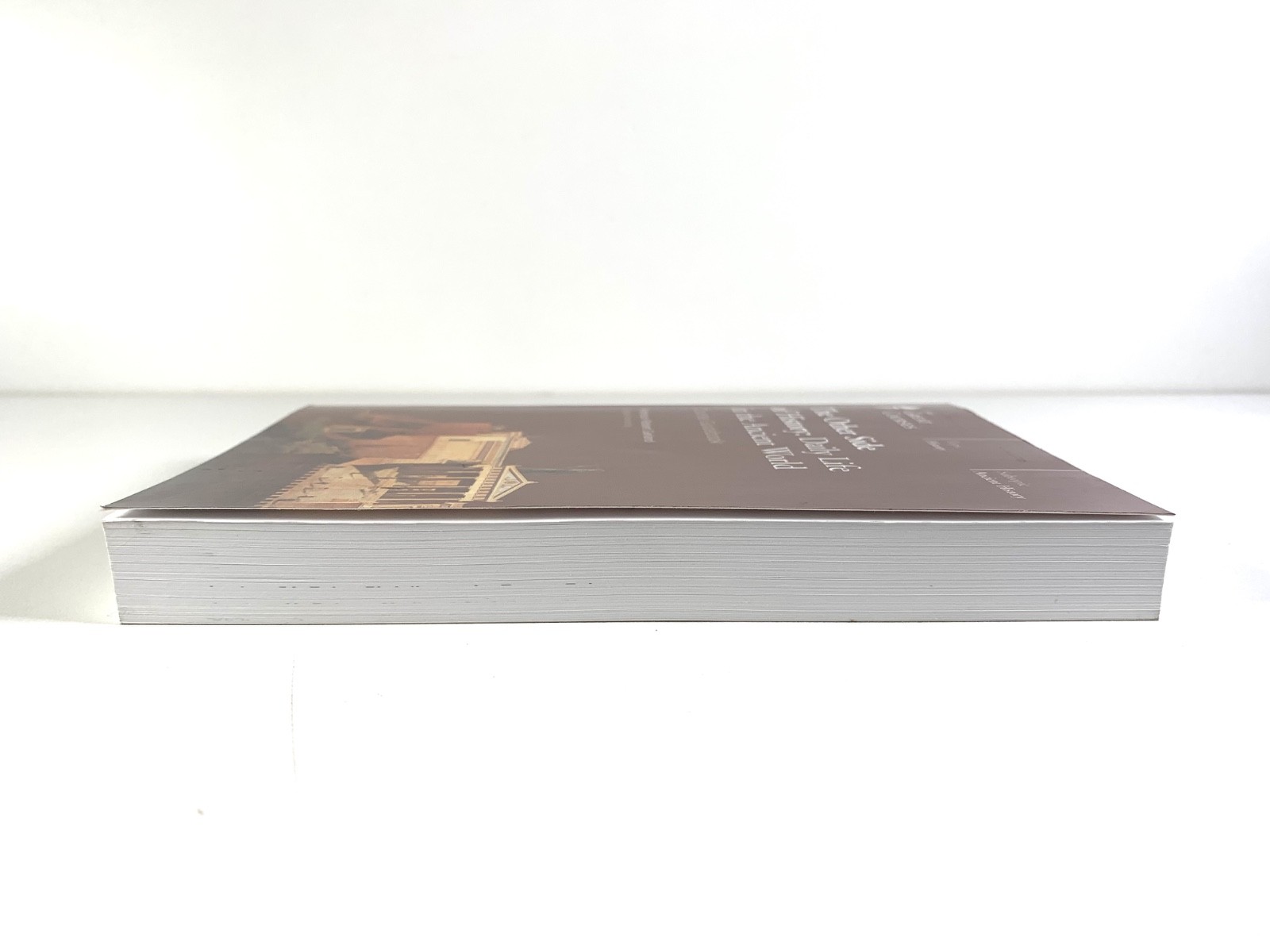Other Side of History: Daily Life in the Ancient World Book Great Courses NO DVD