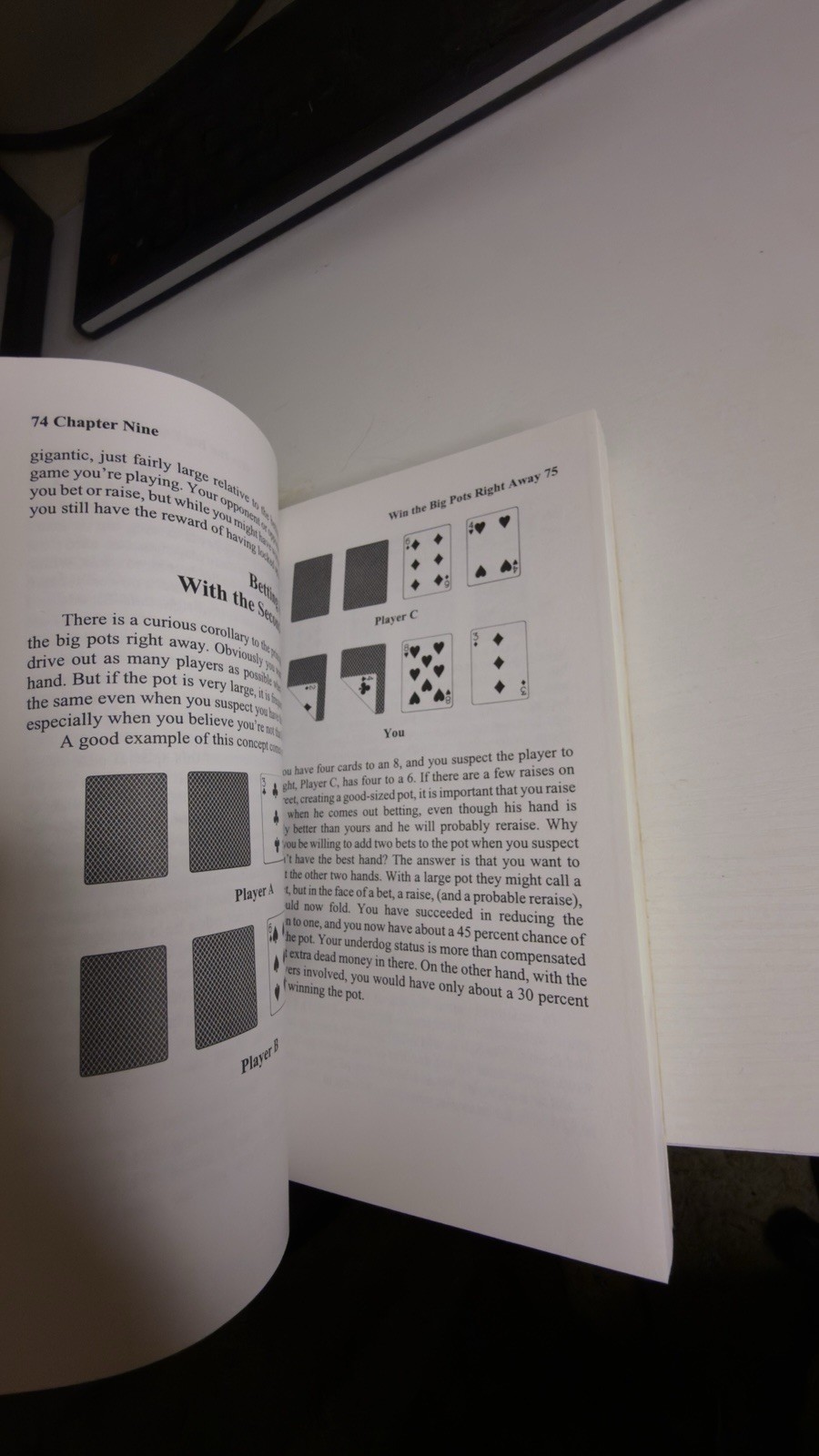 Theory of Poker : Self-Help Book Poker Skills Texas Hold’em David Sklansky