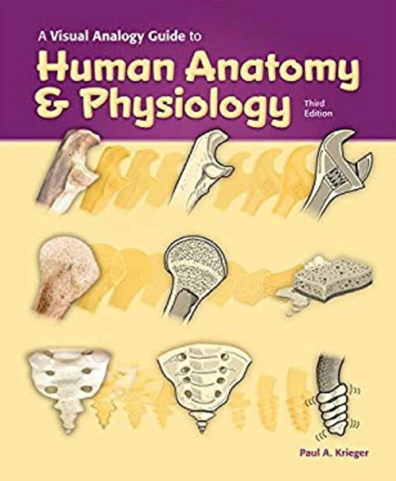 A Visual Analogy Guide to Human Anatomy and Physiology, 3e Paul A
