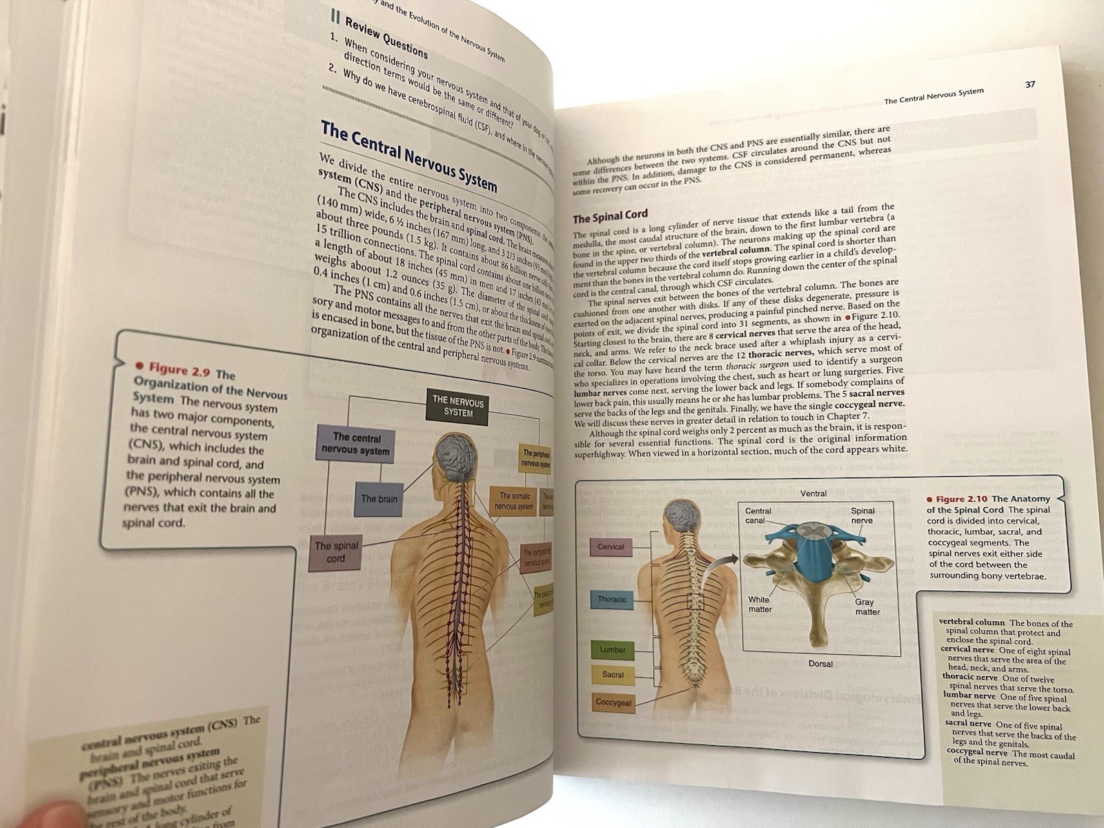 Discovering Behavioral Neuroscience: An Introduction 4e, Laura Freberg Textbook