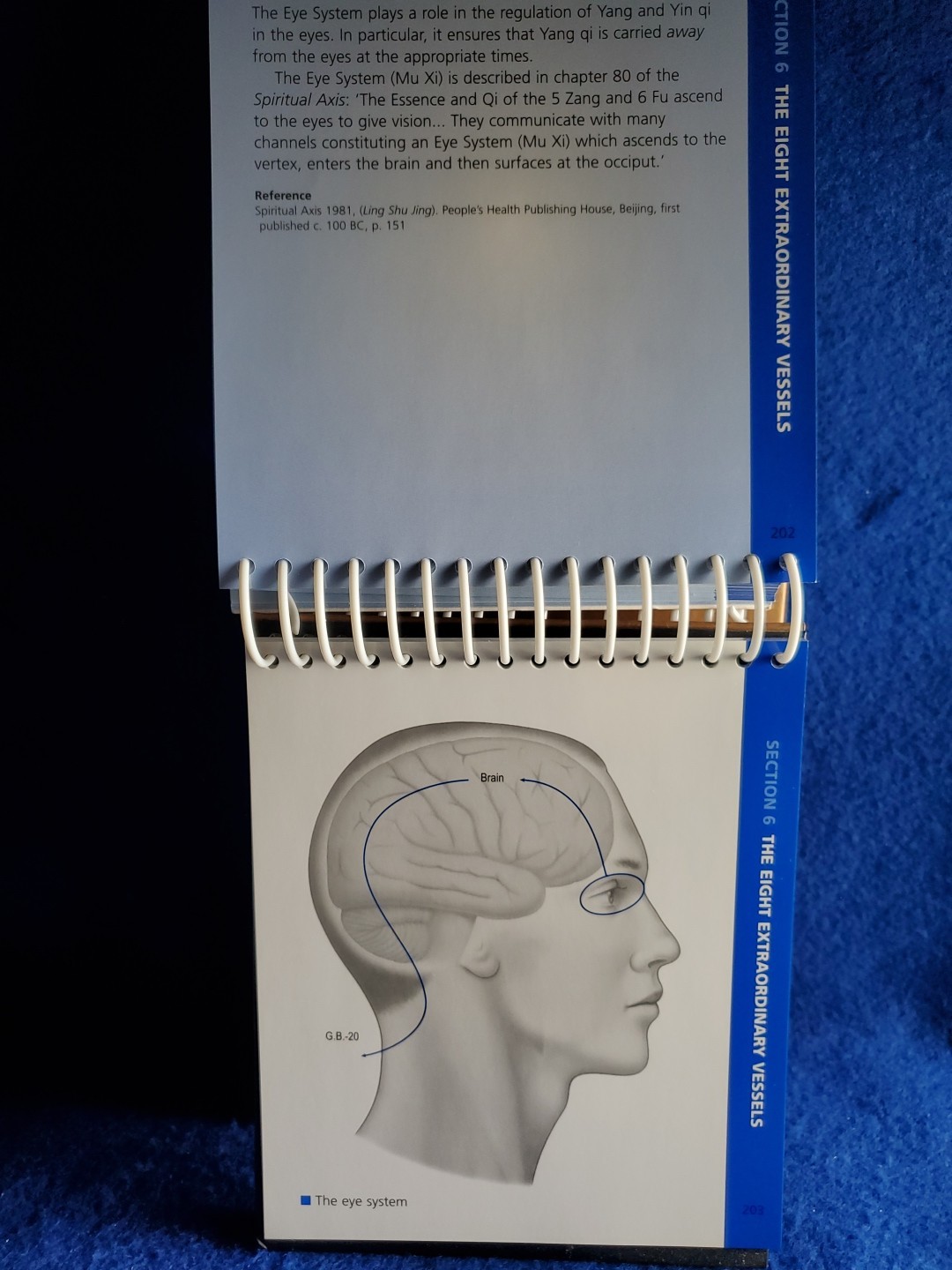 The Channels of Acupuncture Cards Giovanni Maciocia 2006 Elsevier Set