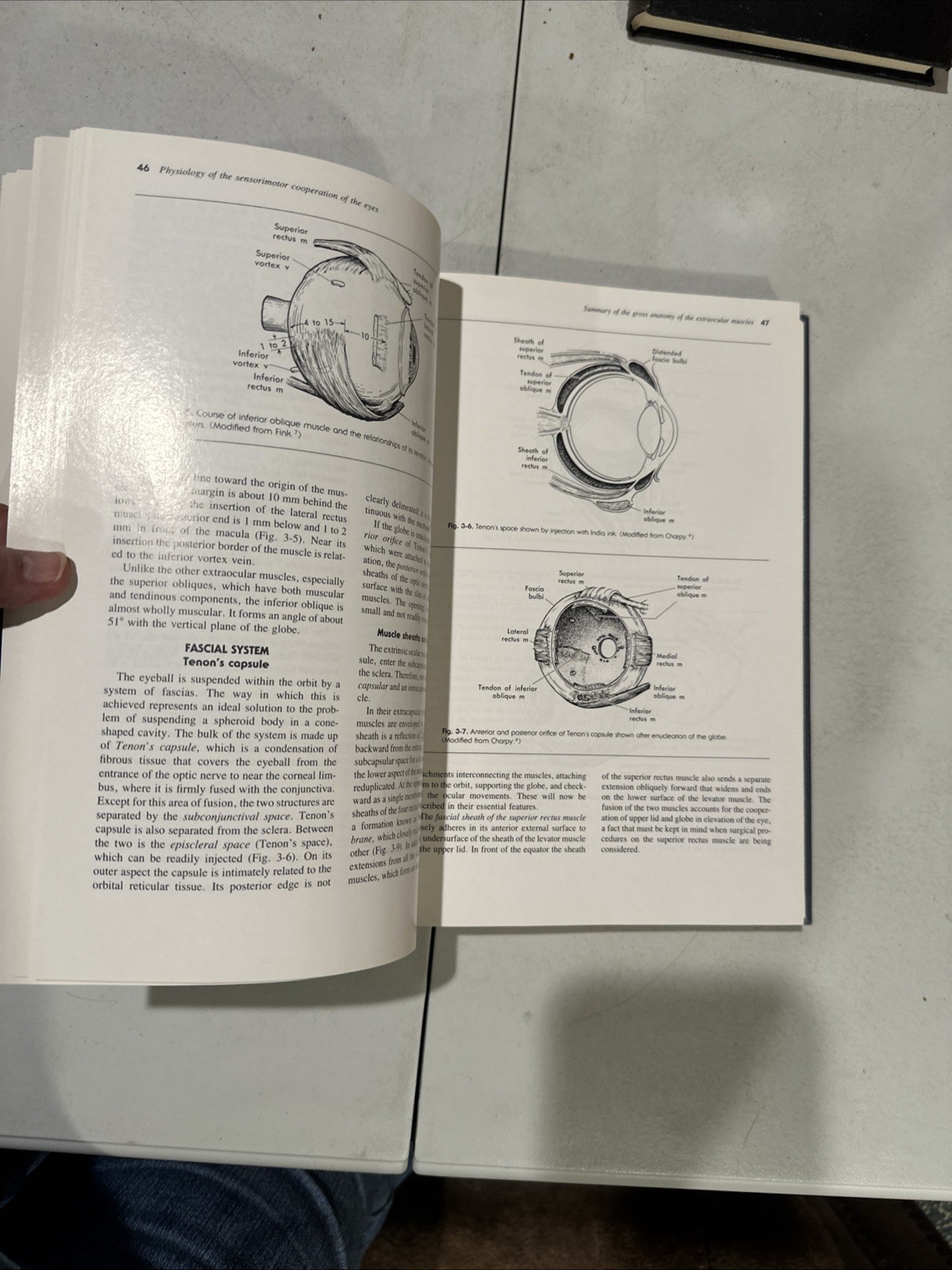 Binocular Vision And Ocular Motility. Von Noorden. 1985. Ophthalmology