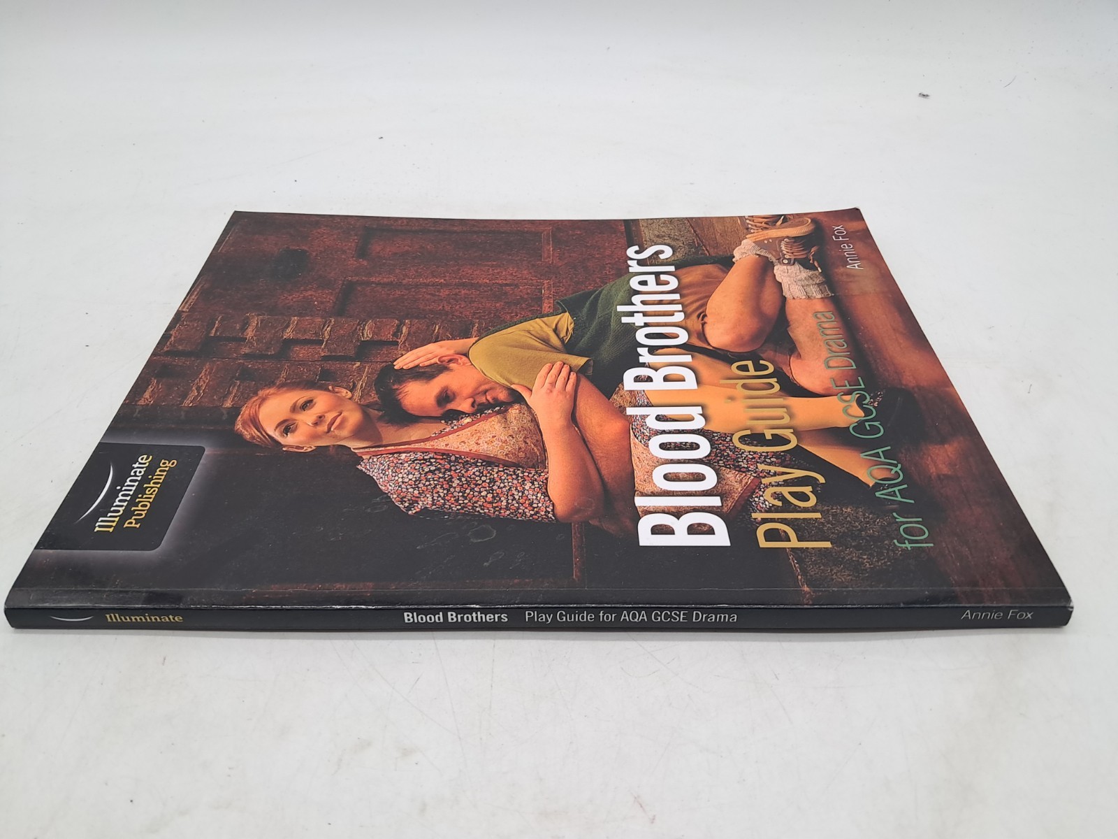 Blood Brothers Play Guide for AQA GCSE D…, Fox, Annie