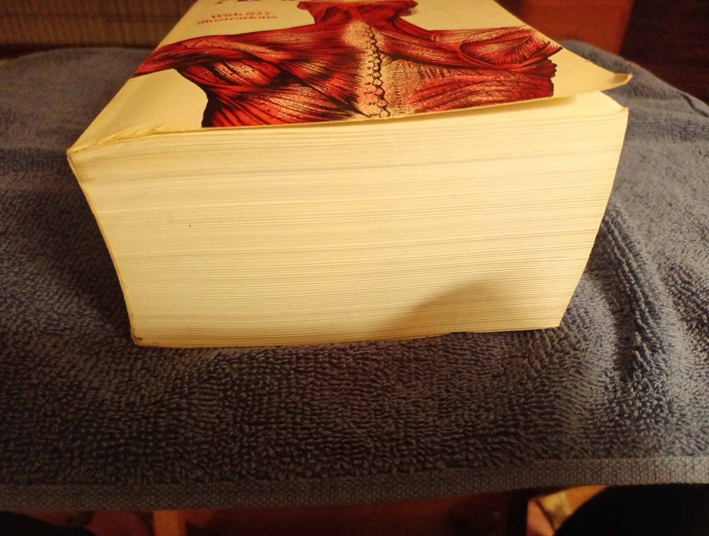 Gray’s Anatomy : The Unabridged Running Press Edition of the American Classic…