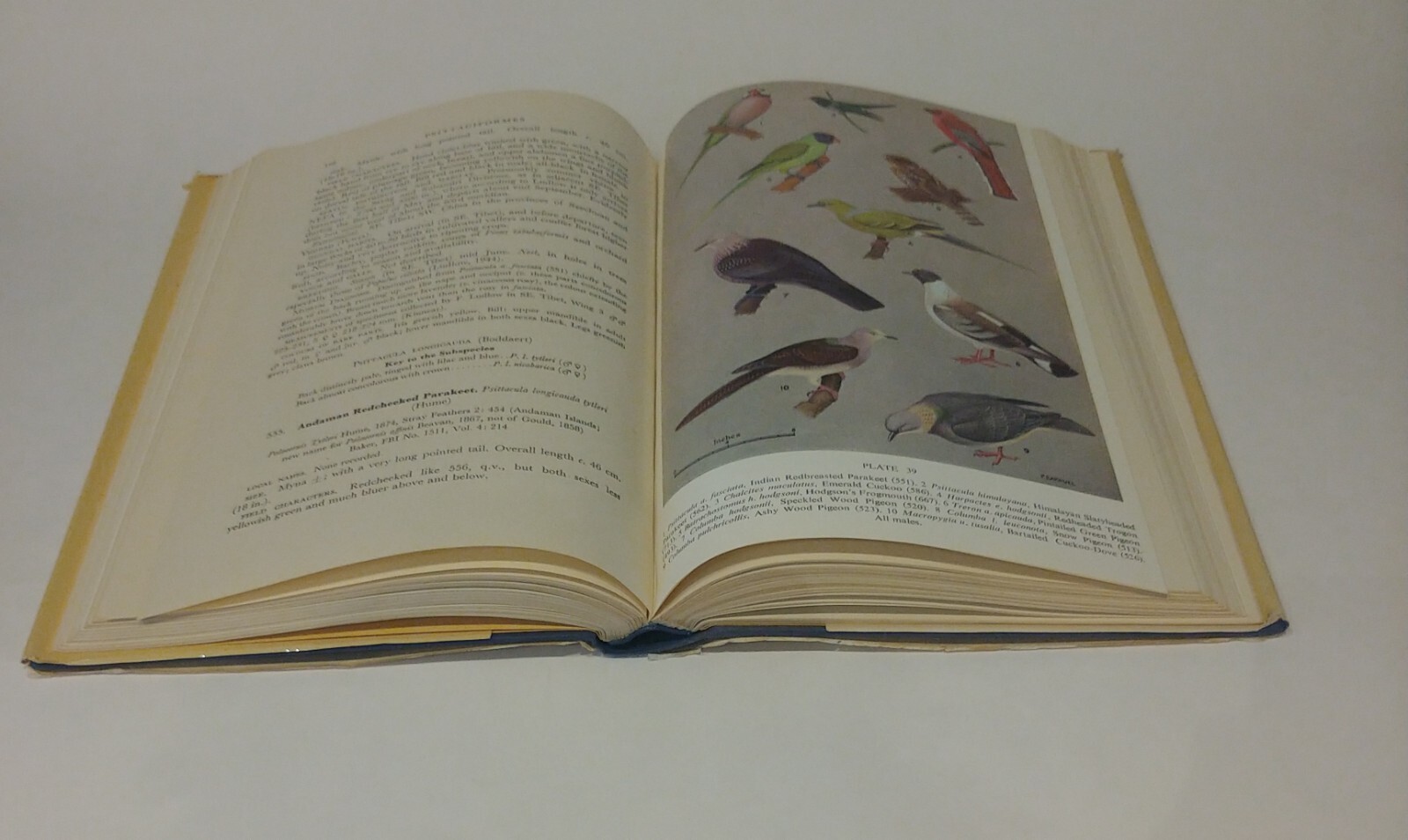 Handbook Of The Birds Of India And Pakistan Second Edition Vol. 3 HC