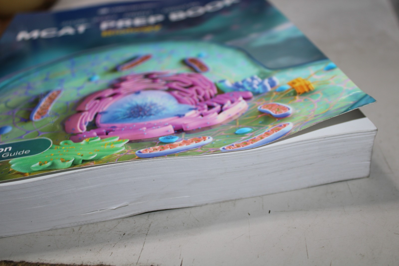 MCAT Biology 2025-2026 by UWorld (2024, Trade Paperback)